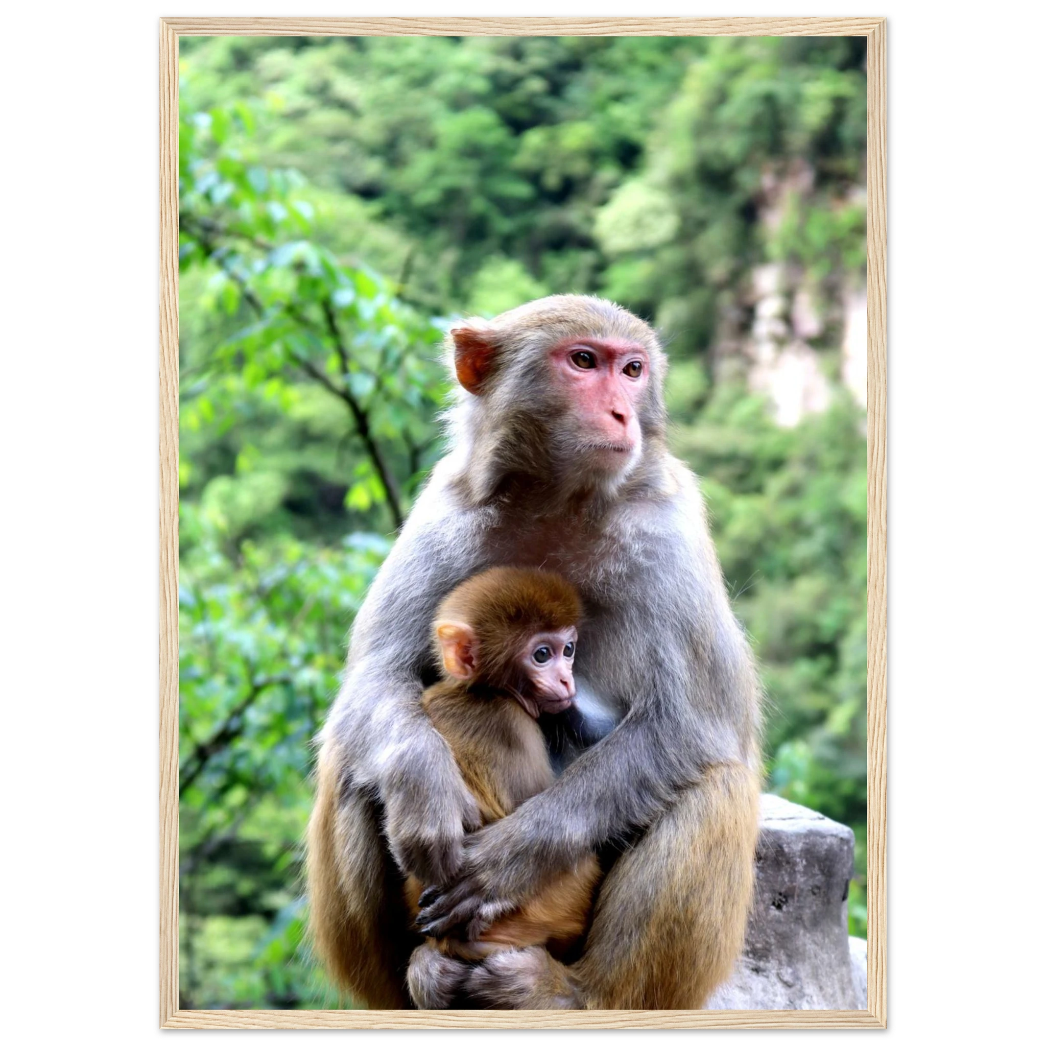 e3cc356e-1697-4036-a060-f28ba58c66d7