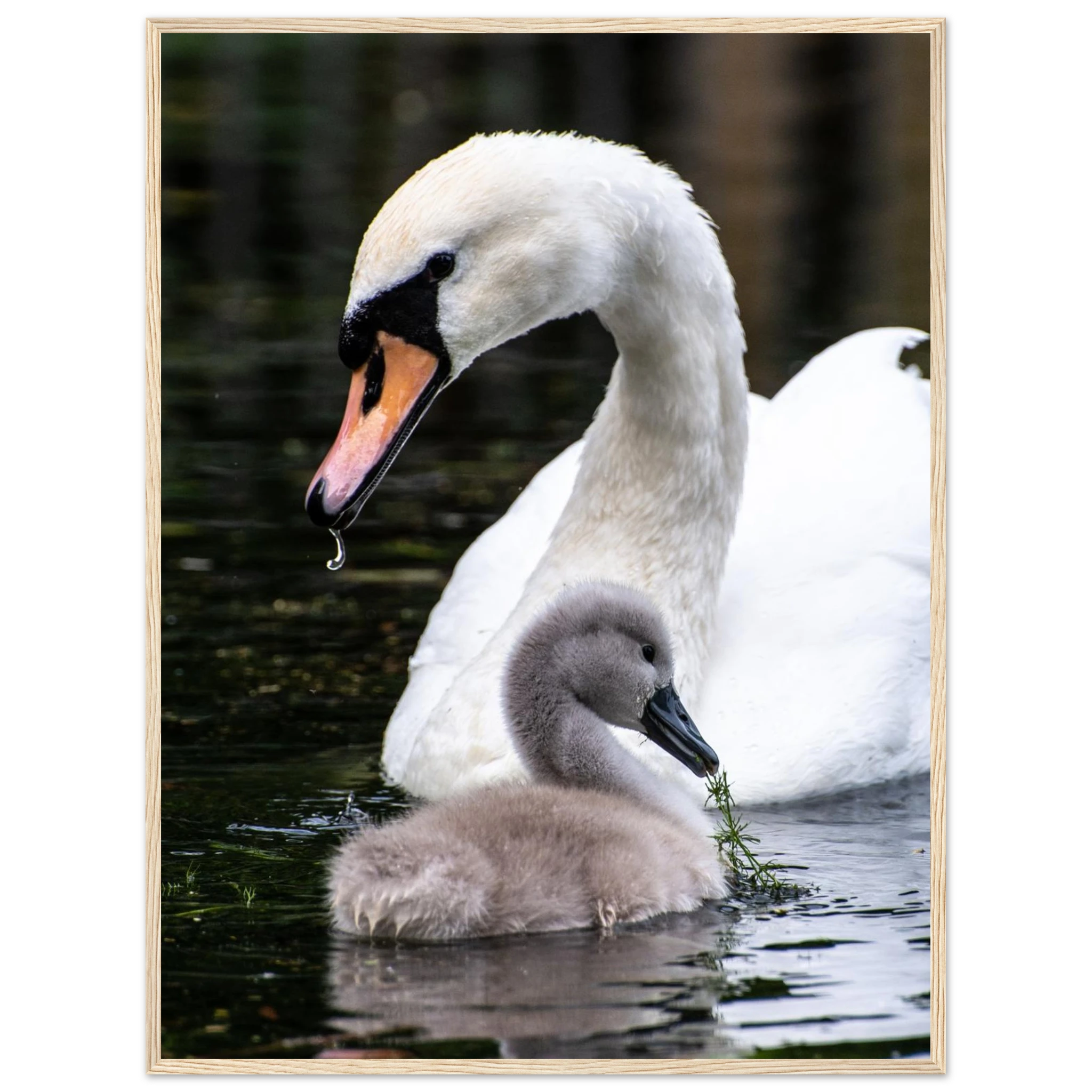 e3d772b7-e4ca-4c6b-81d8-5019515add96