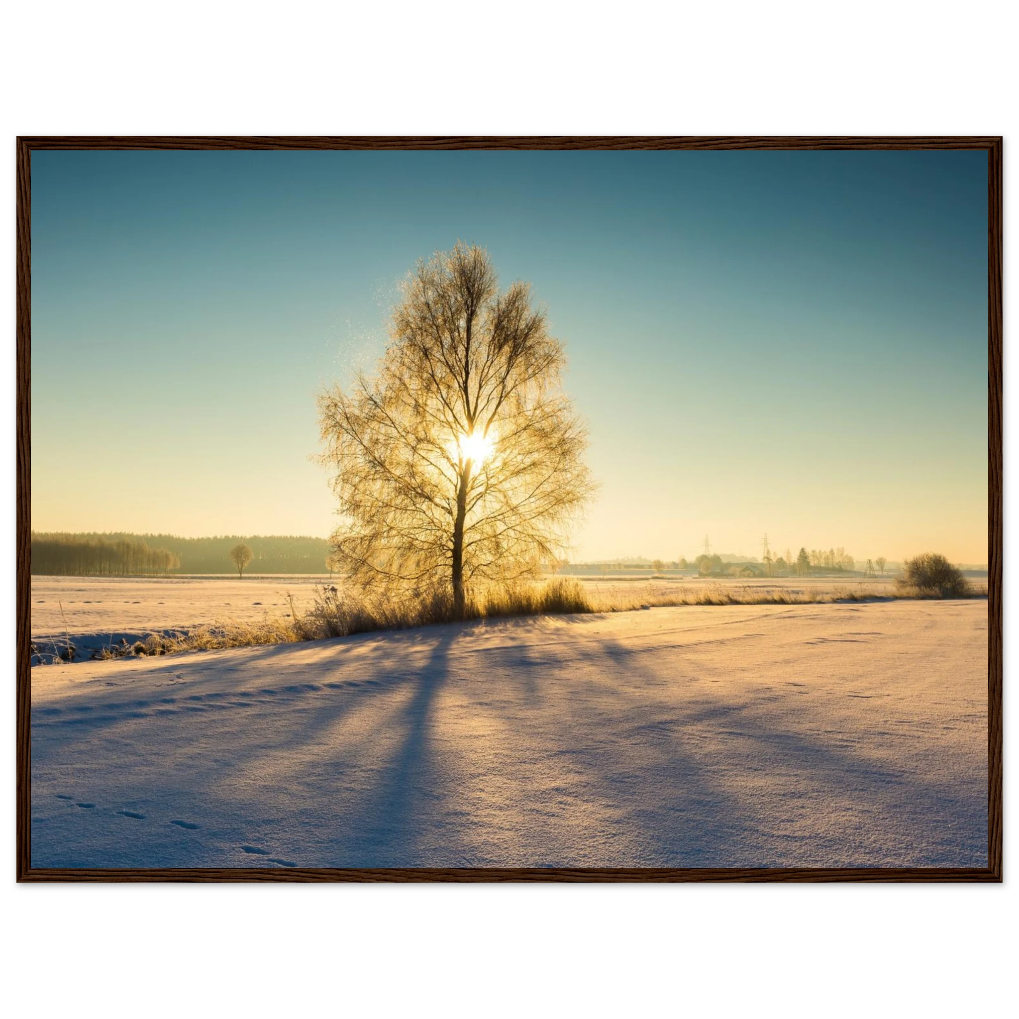 e3e855d8-c845-4124-ae94-52bdcc68975a