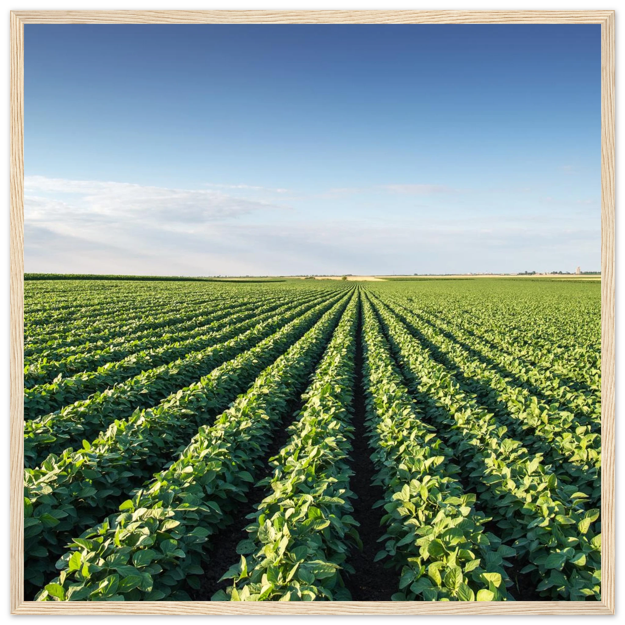 e3f5babb-8b0e-4504-9faf-76c6ebd60e20