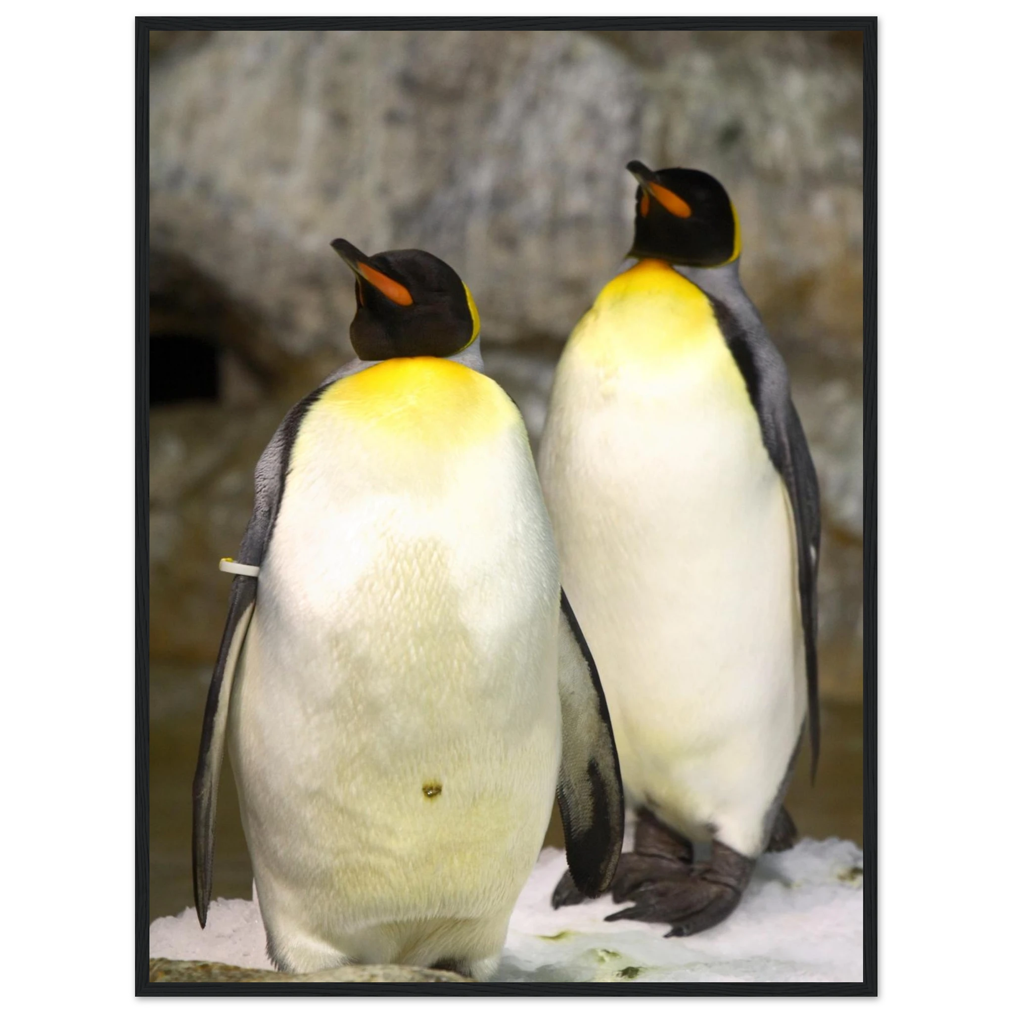 e3fd65aa-535e-4276-9be9-451c0d547db6