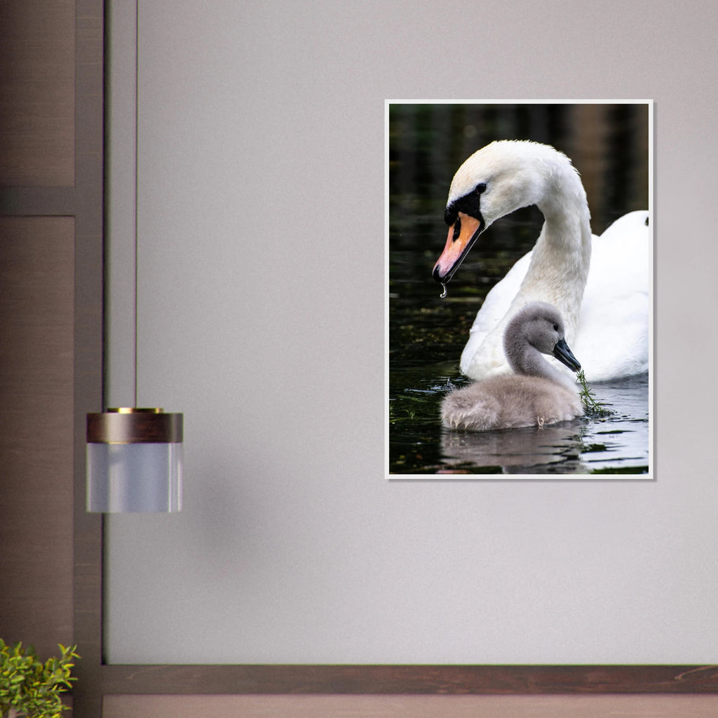 e412048d-aa05-4642-a06e-4edf539fccb1