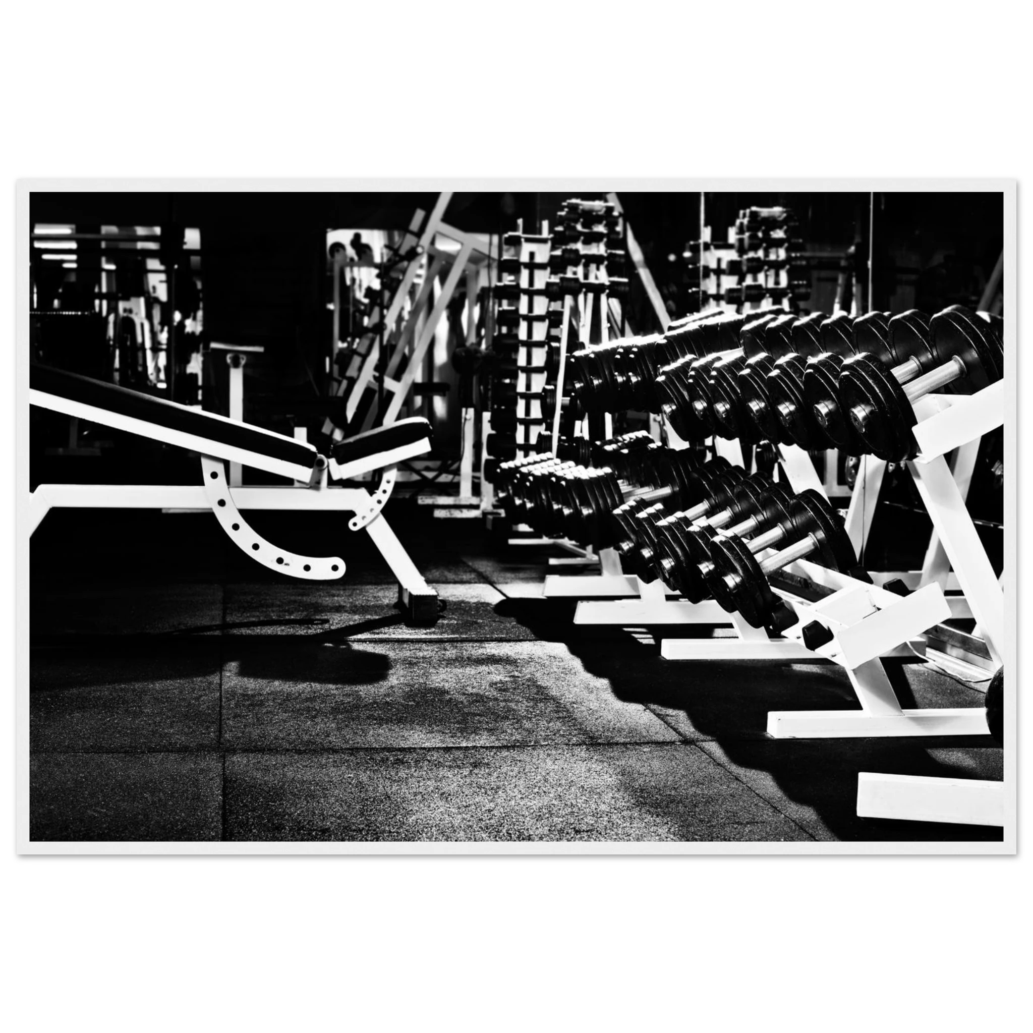 e420e839-f965-4d09-9201-14be35268d08