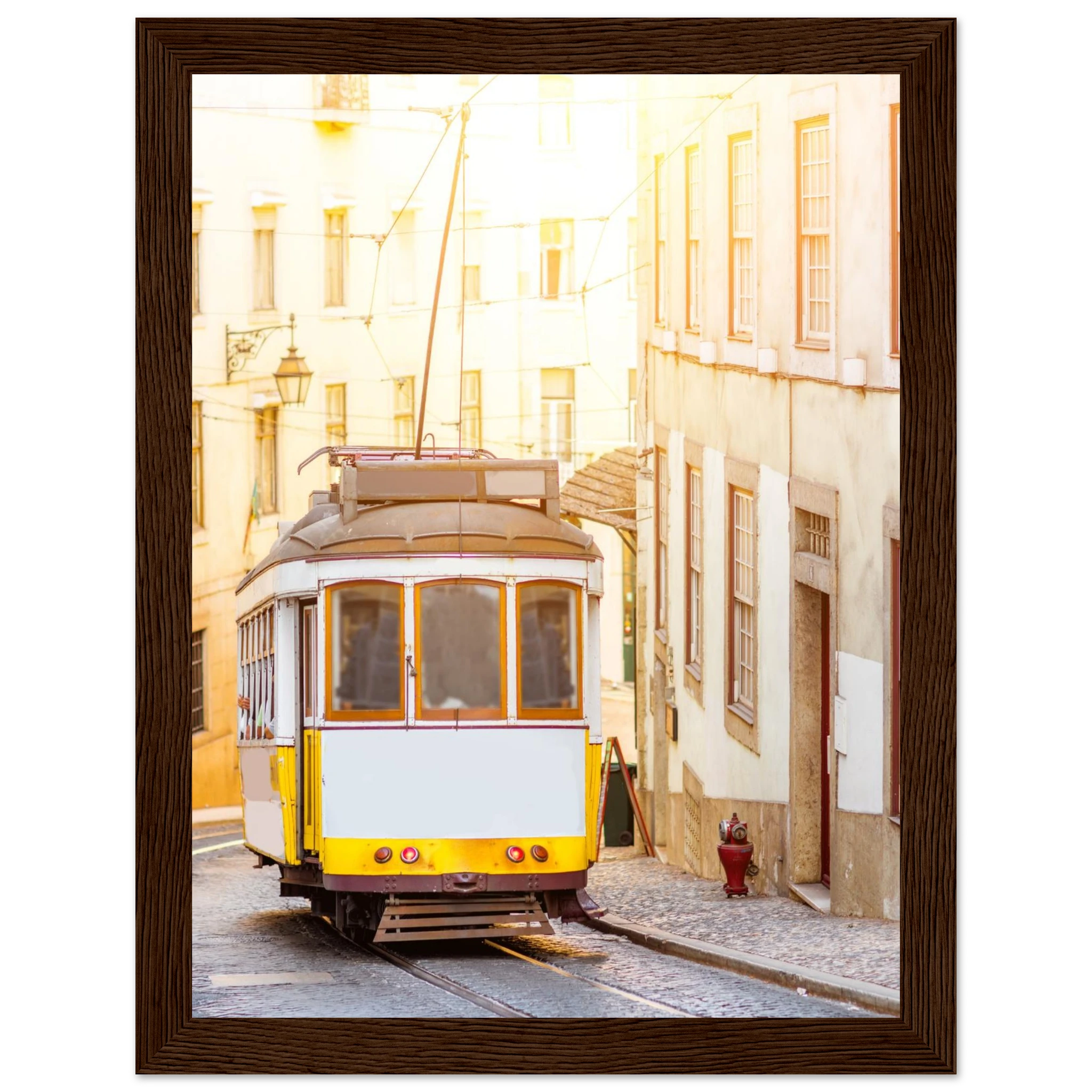 e424867d-a06e-45f4-a3dd-8d7e52310e03