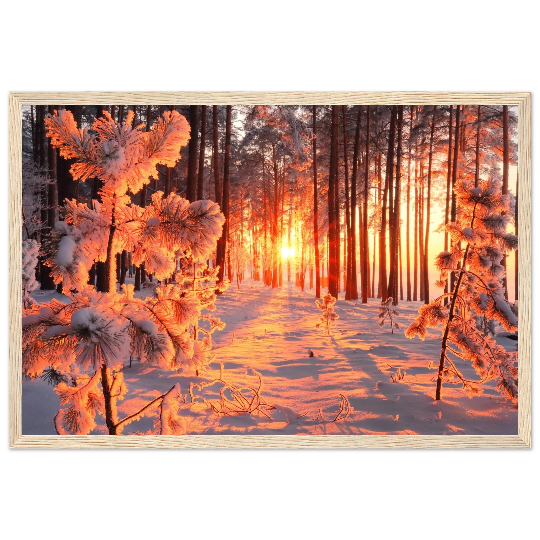 e4448a5b-42e5-4ffb-a488-96e0719555e5