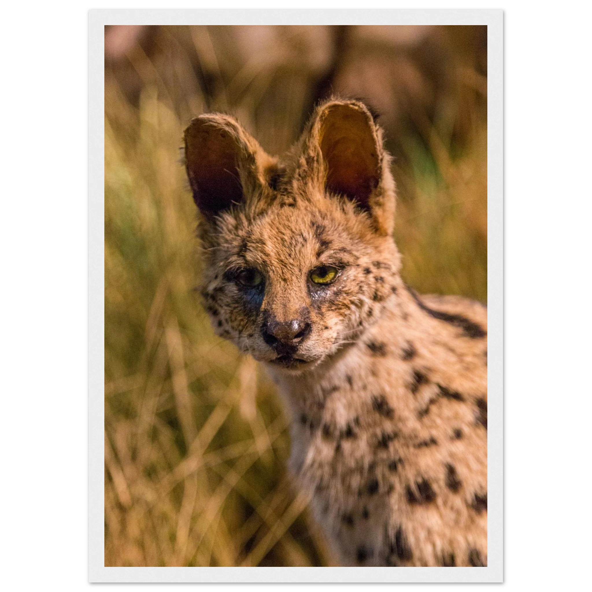 e46b4ab4-6cdc-429c-ad67-2af07ad64427