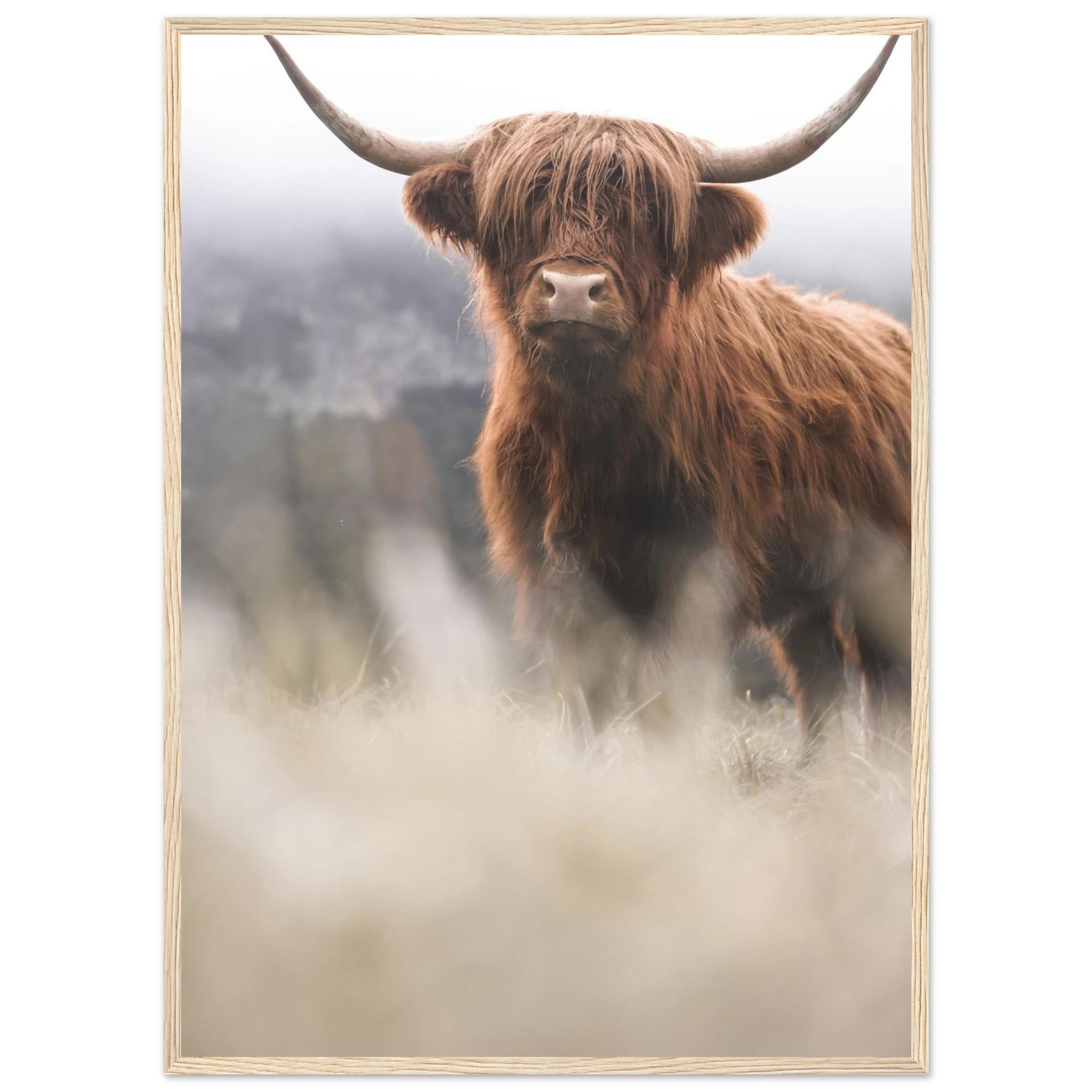 e46d476e-c1ae-4452-b443-ed2998a9c723