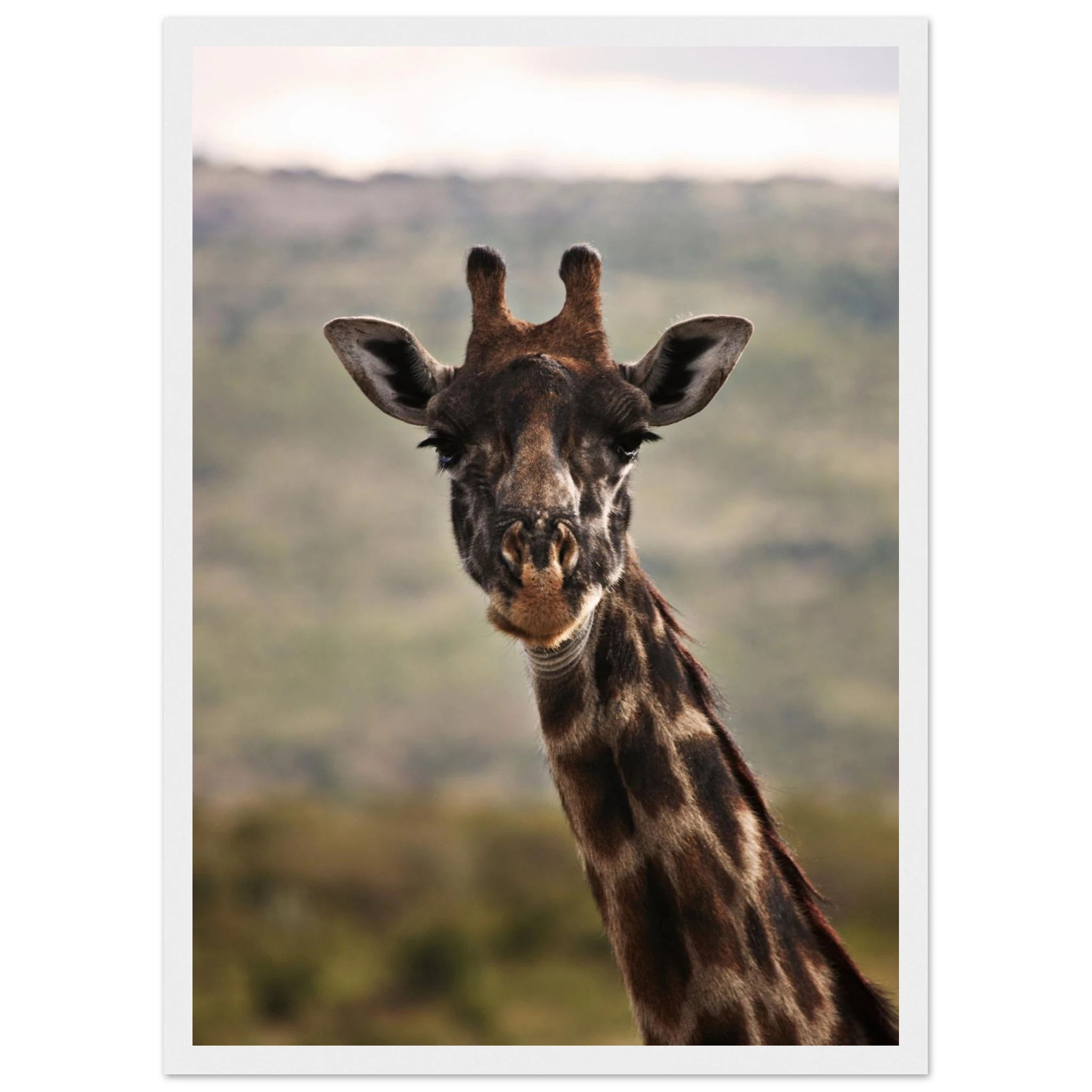 e474d25e-8761-4c00-84e5-09cf665857a2