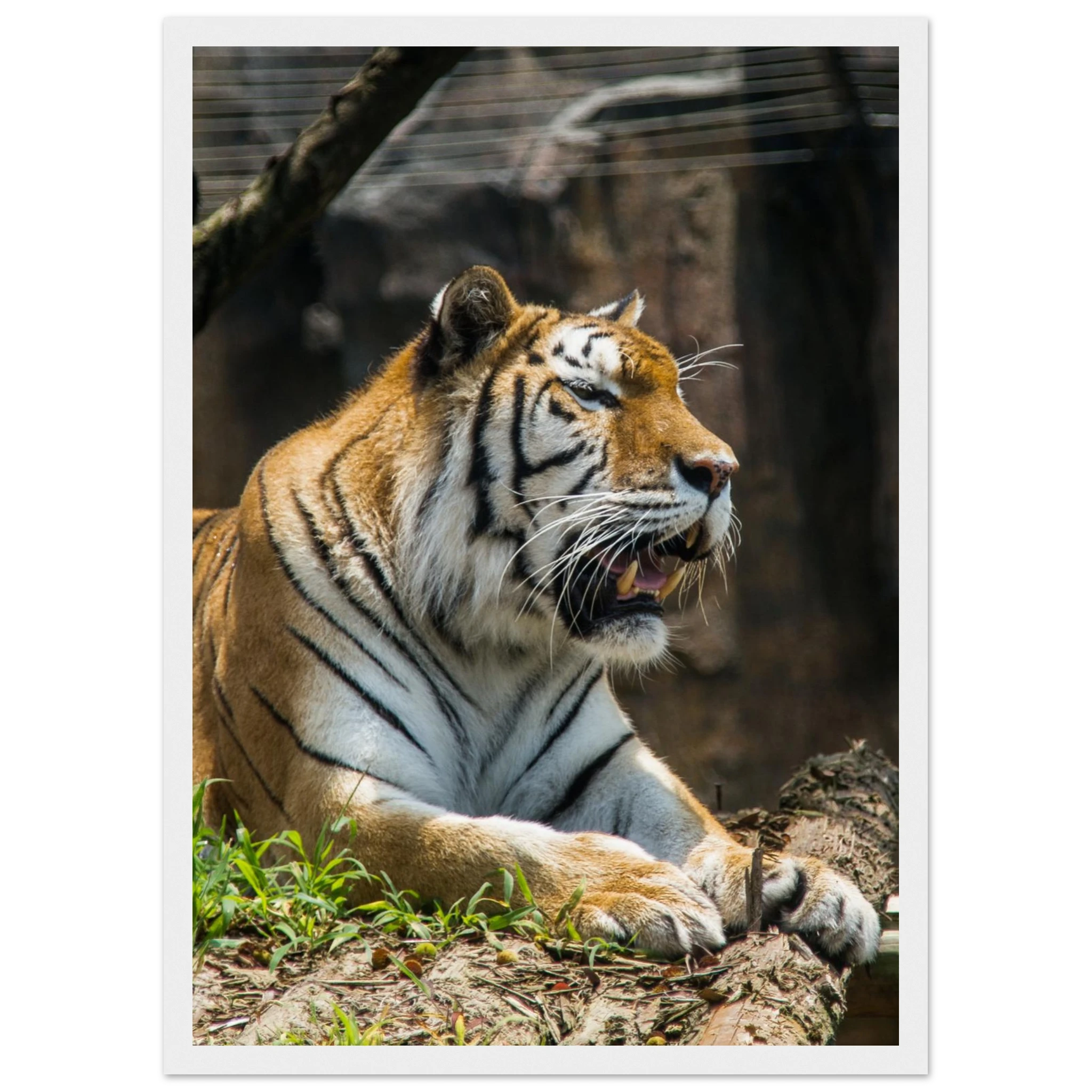 e48b8719-15f4-461b-9c03-a590a9213e9e