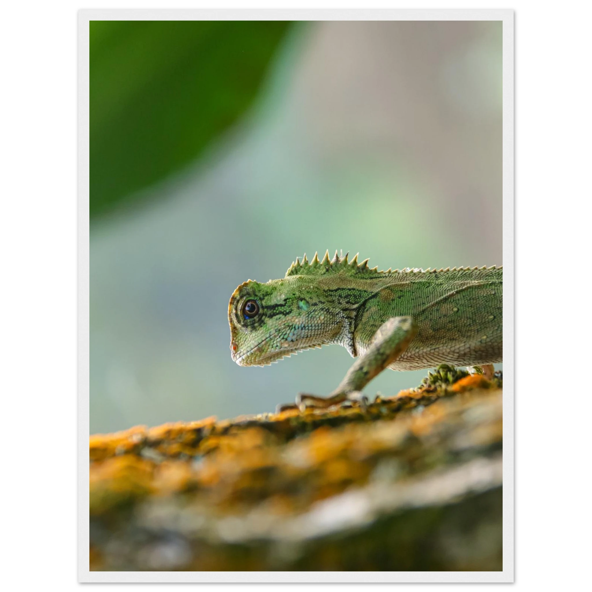 e4bec94d-9c60-4a2f-8a3f-2a73a764e54f