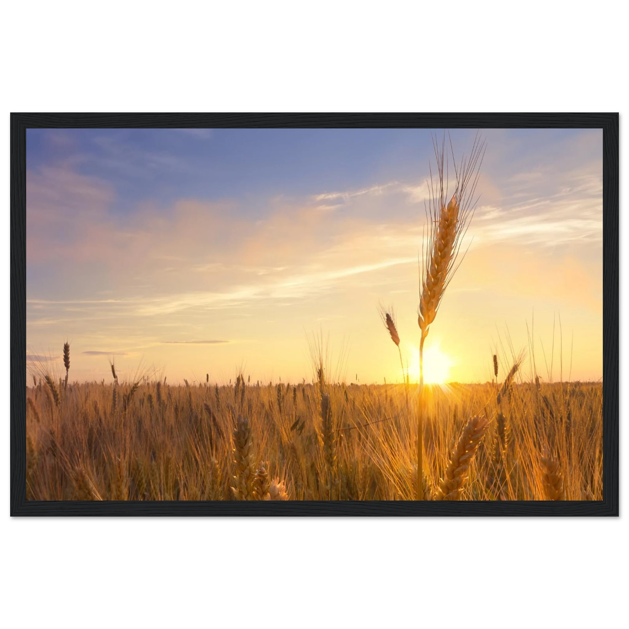 e4c529f0-98ad-4f37-8bad-dc2b2be709a2