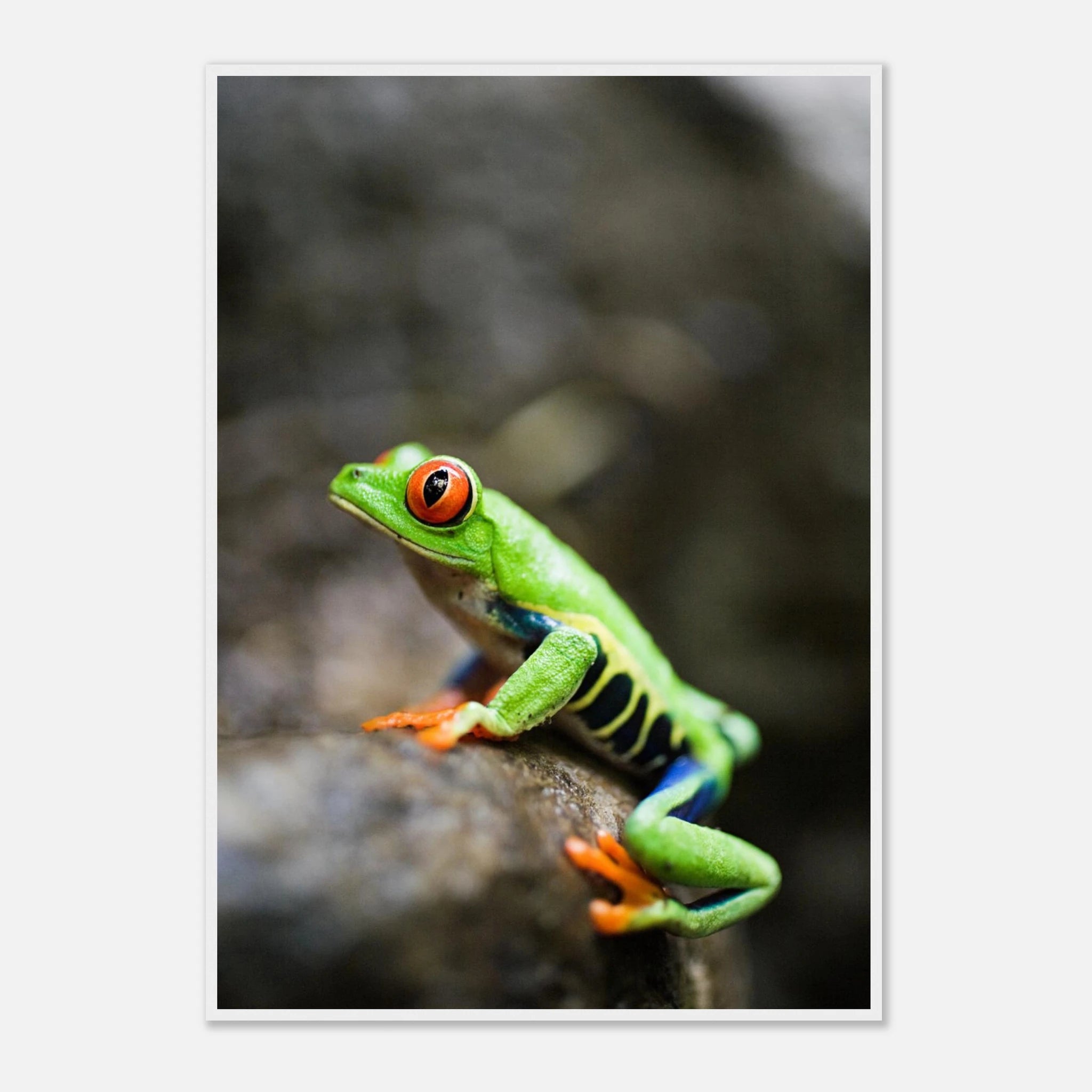 e510d481-f97a-413f-b6fa-b204ee38b390