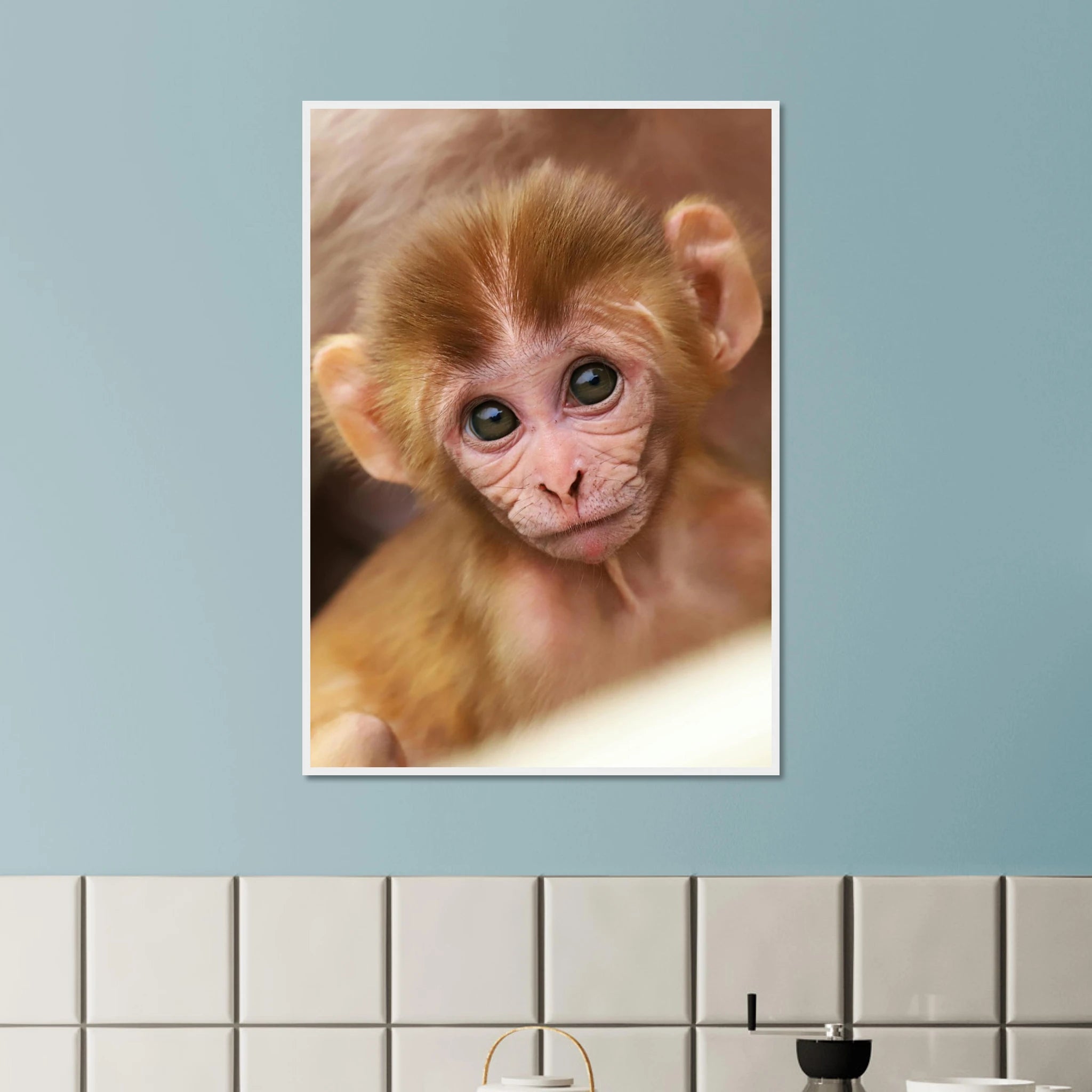 e526397f-2e1c-4aa5-a7af-c99da74ca8bc