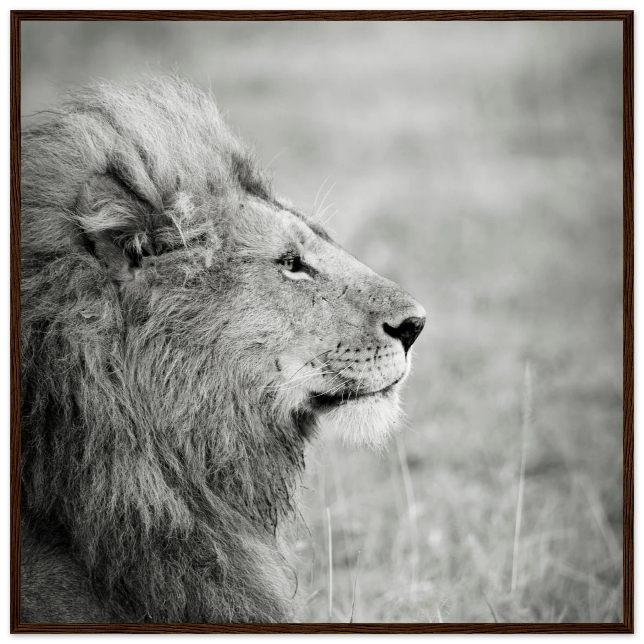 e532b2eb-f0fb-41bc-bdea-f3c6ac3cba51