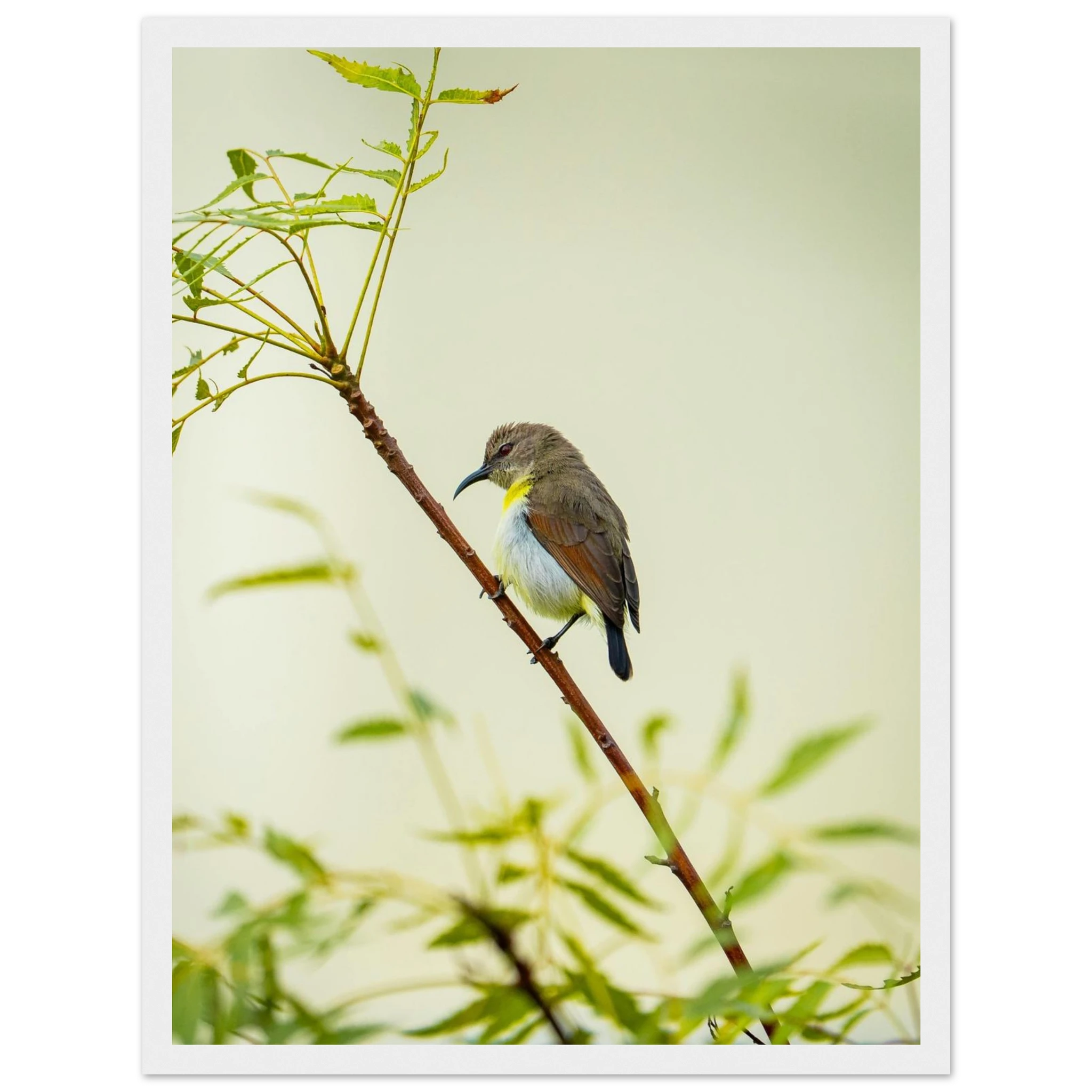 e53c30b1-21ee-4ee8-a9b4-5637ecaf3b80