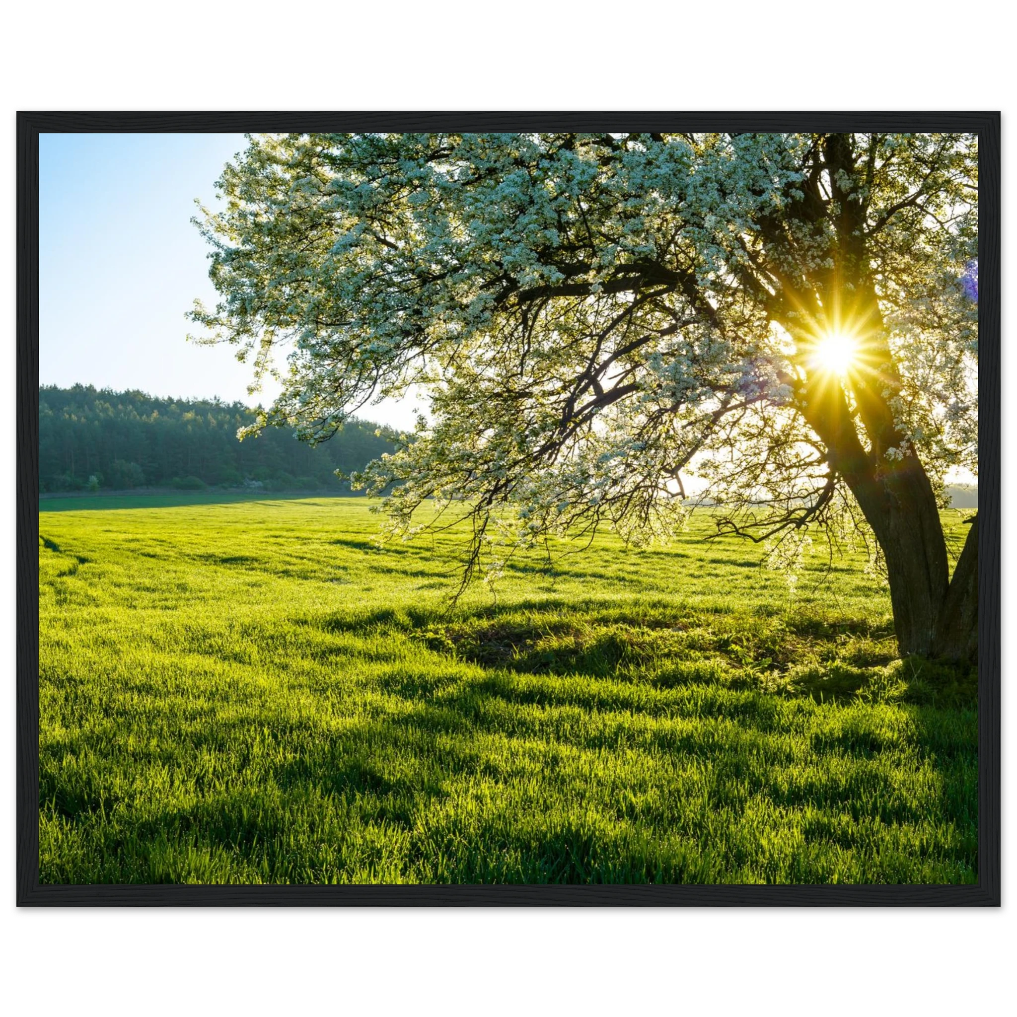 e54cb507-c9fe-45c8-945f-143eafe45da1