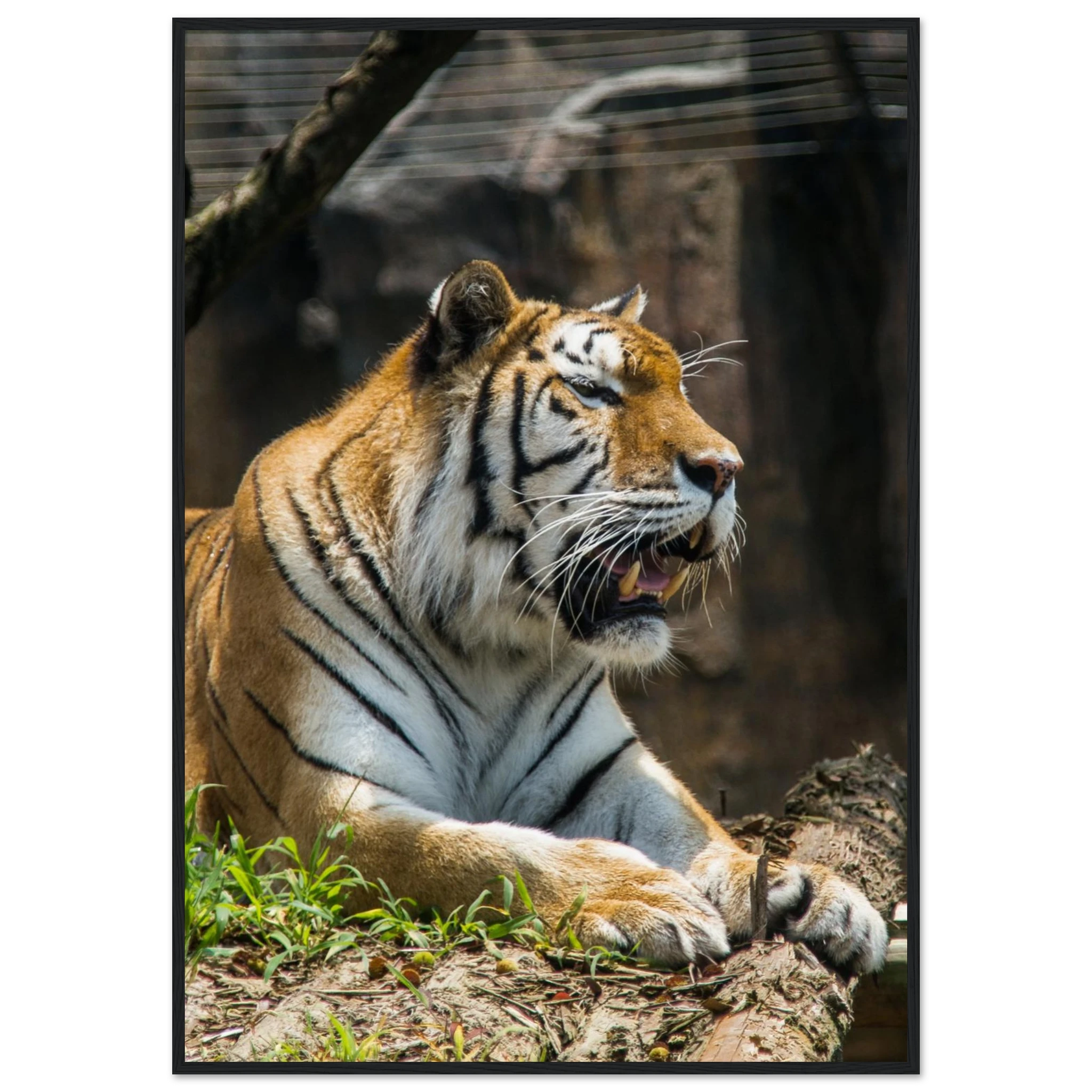 e55c12c7-fa32-4b67-9323-9e80d24b186c