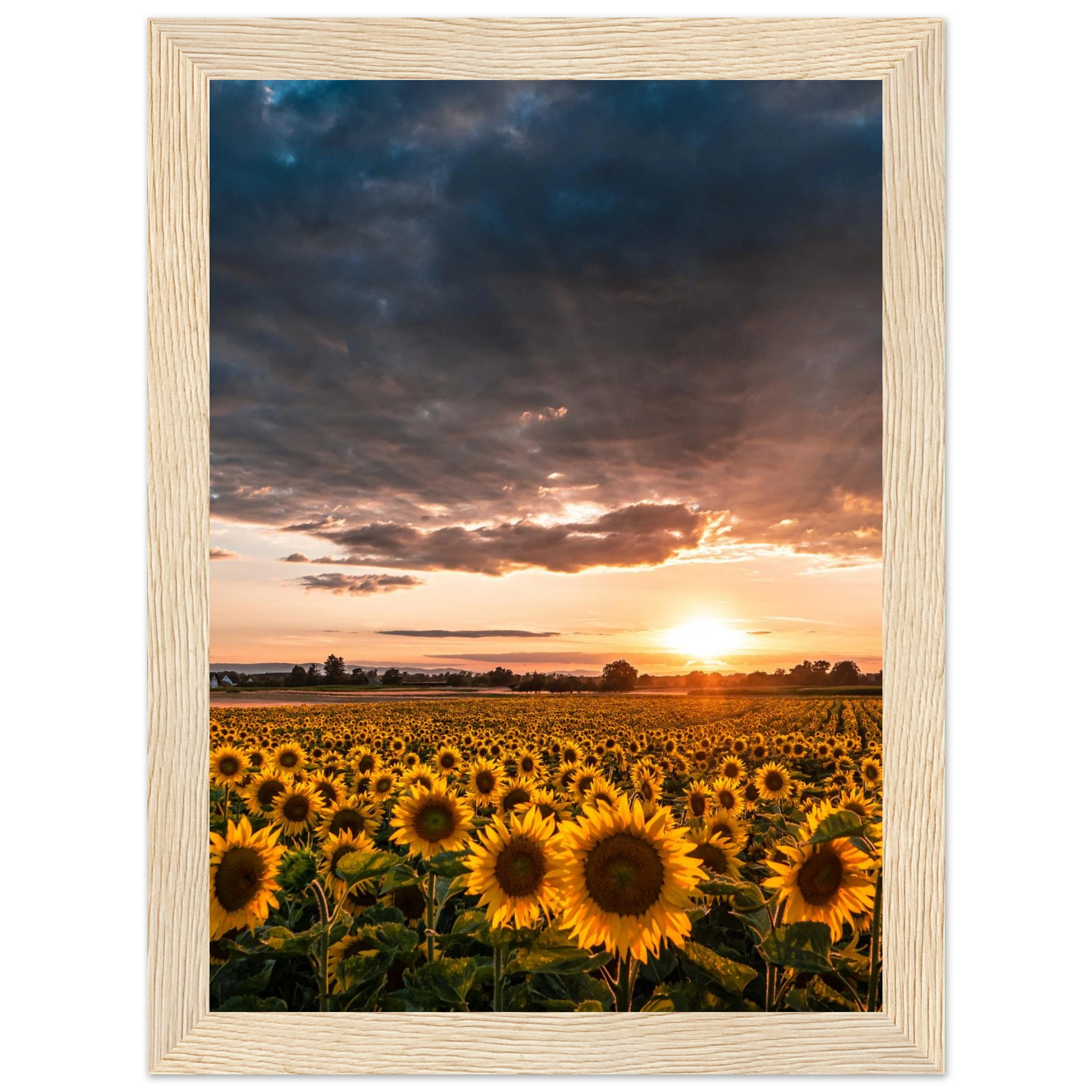 e562ae3f-59d2-4091-9c1c-8a2612097502