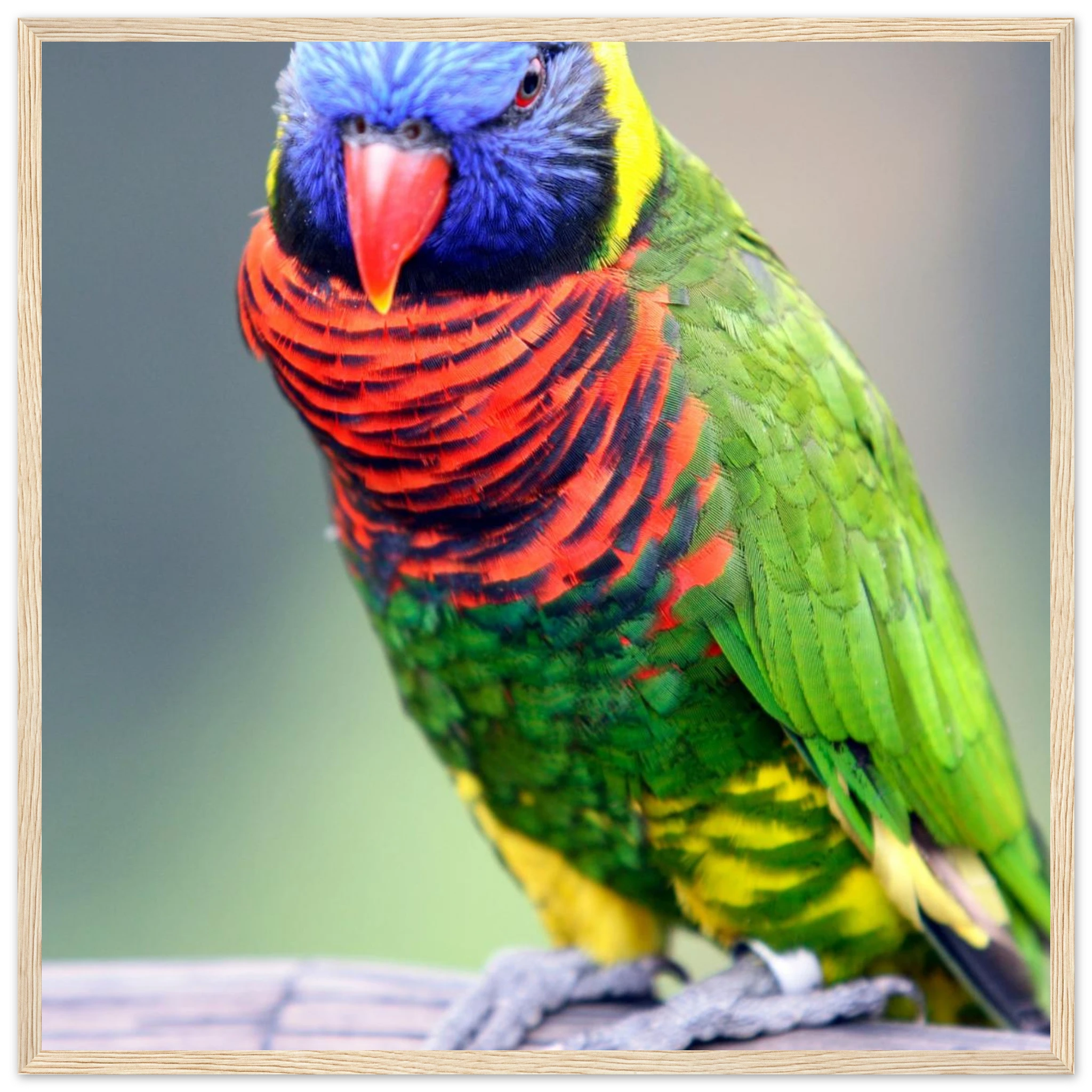 e5701bf3-c07d-4c3f-8299-c1ed908137f5