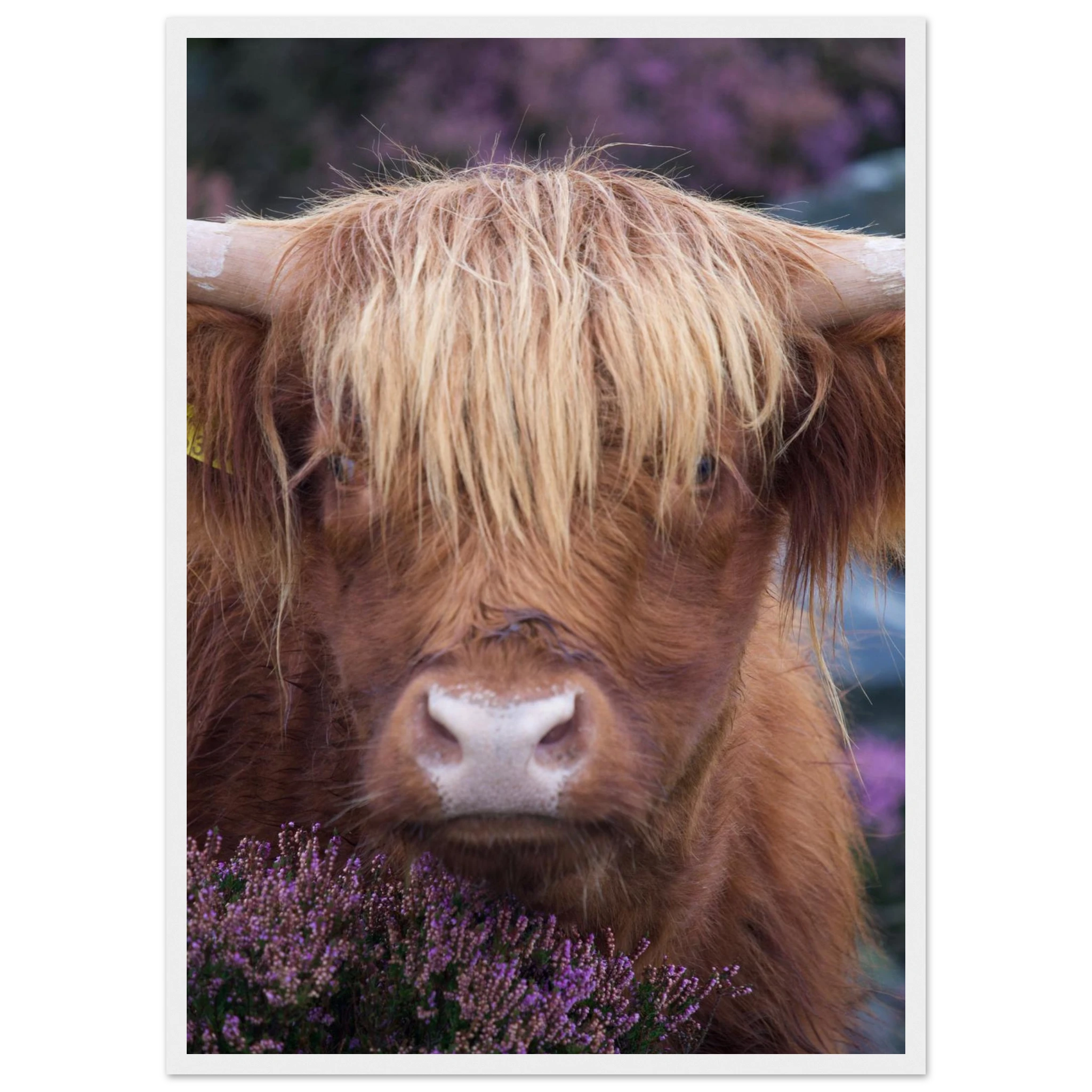 e57b3e68-b424-4044-b5ab-4cd6b7b6be05