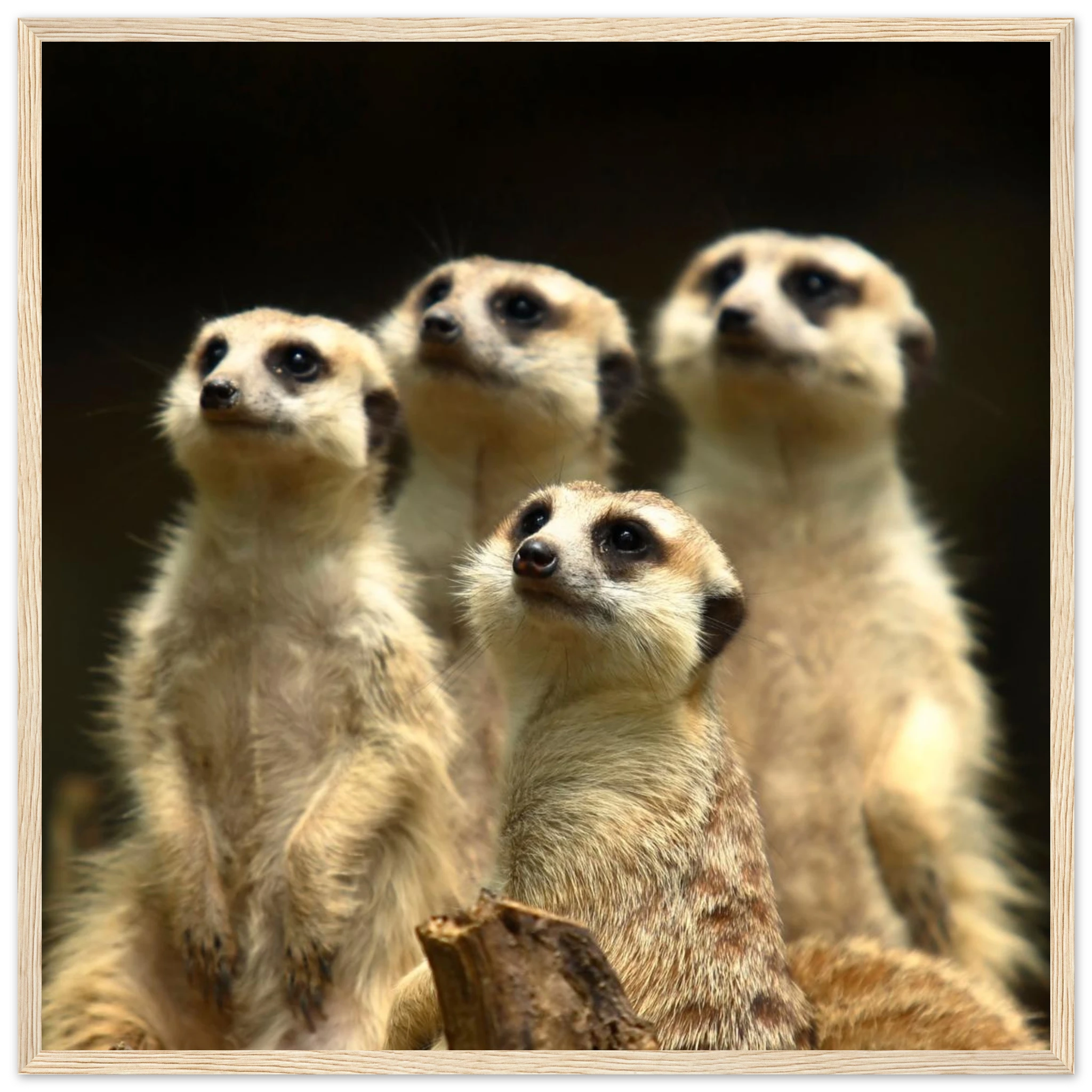 e586af8d-618b-4ff0-9dd7-5195bf39d489