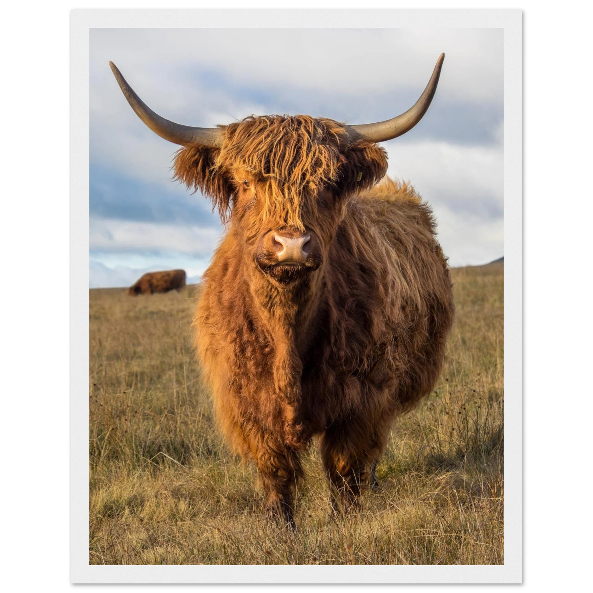 e595e7de-ecb5-47c6-890f-654b979b29f7