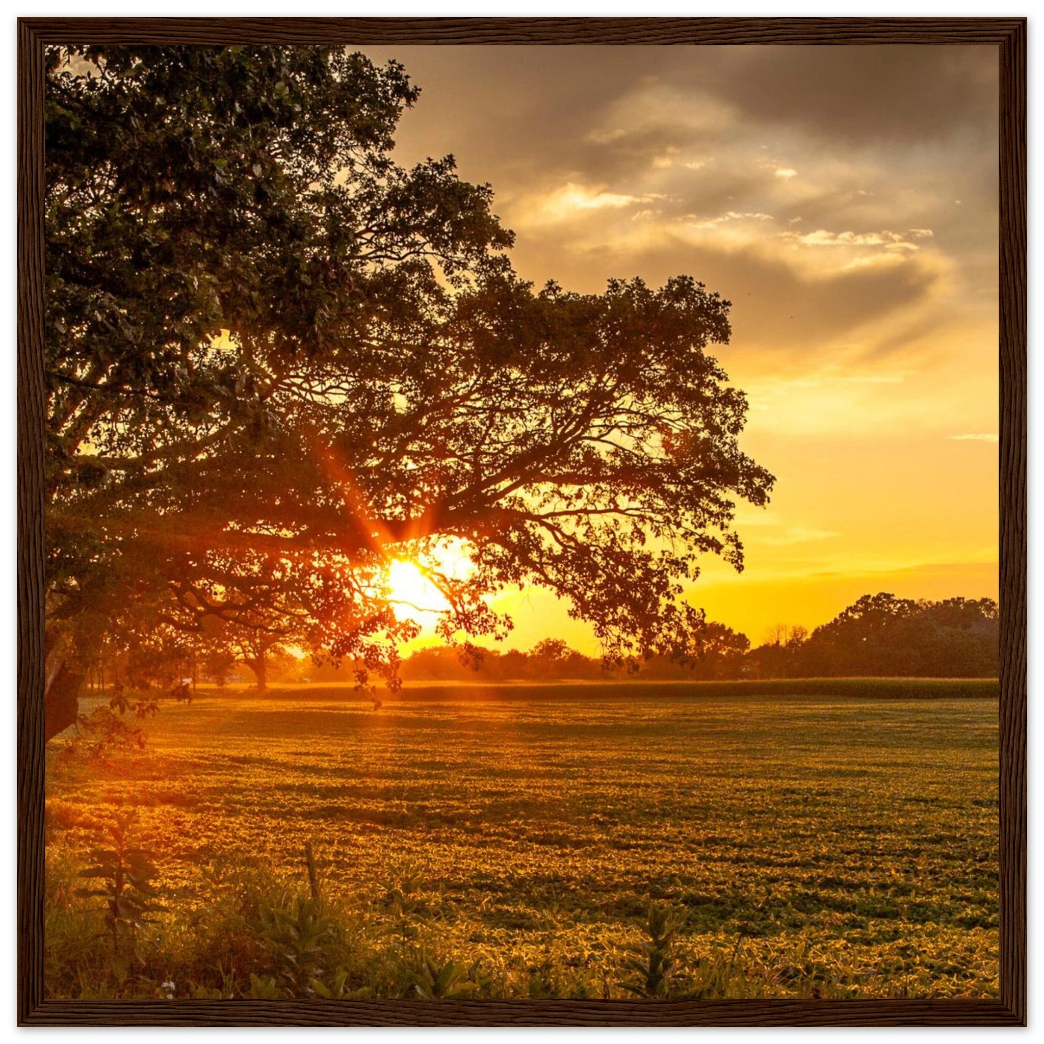 e5c5e40c-6f8e-49d9-94a7-0c718f24d0af