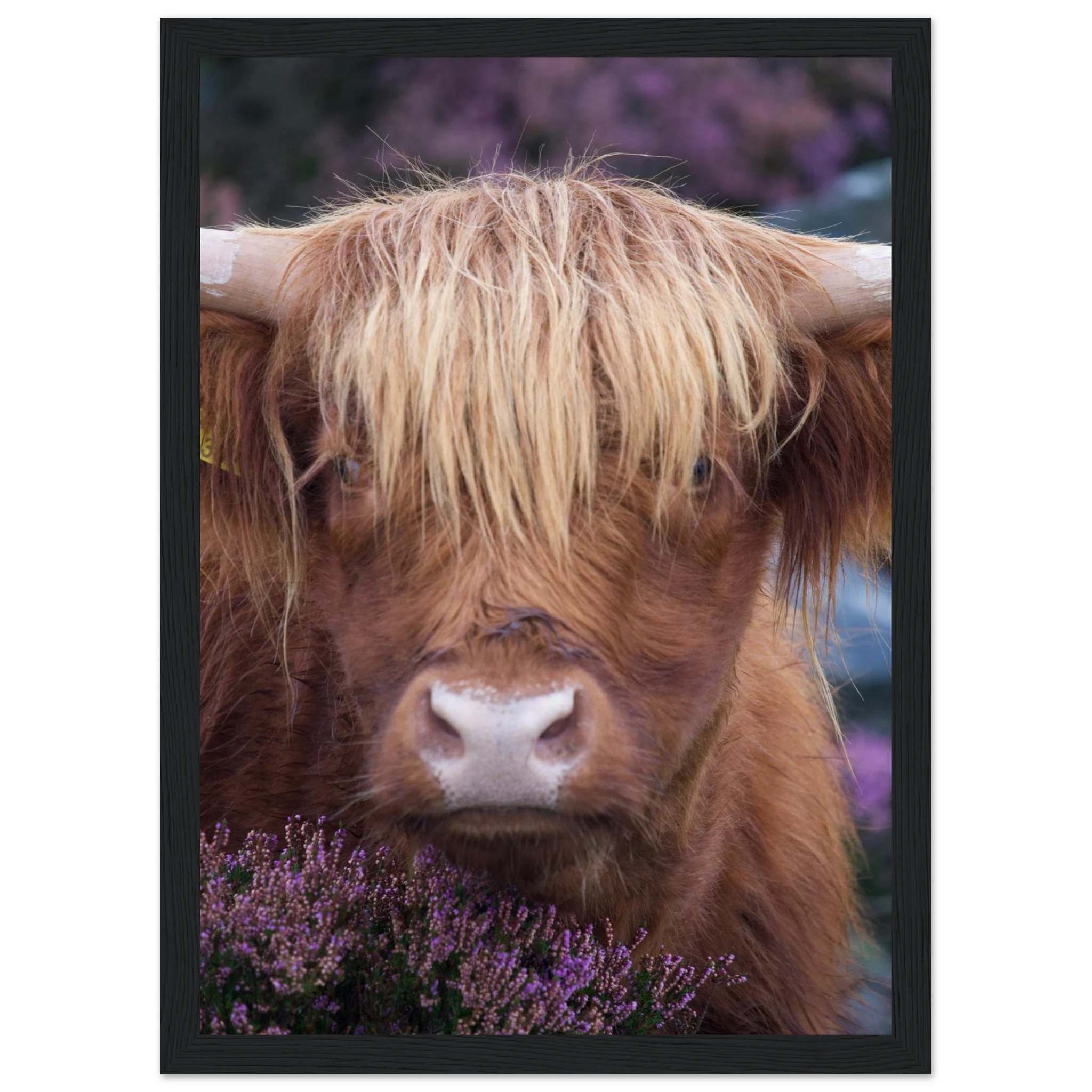 e5d5d8bd-ee83-419b-bb02-1866e3fa9621