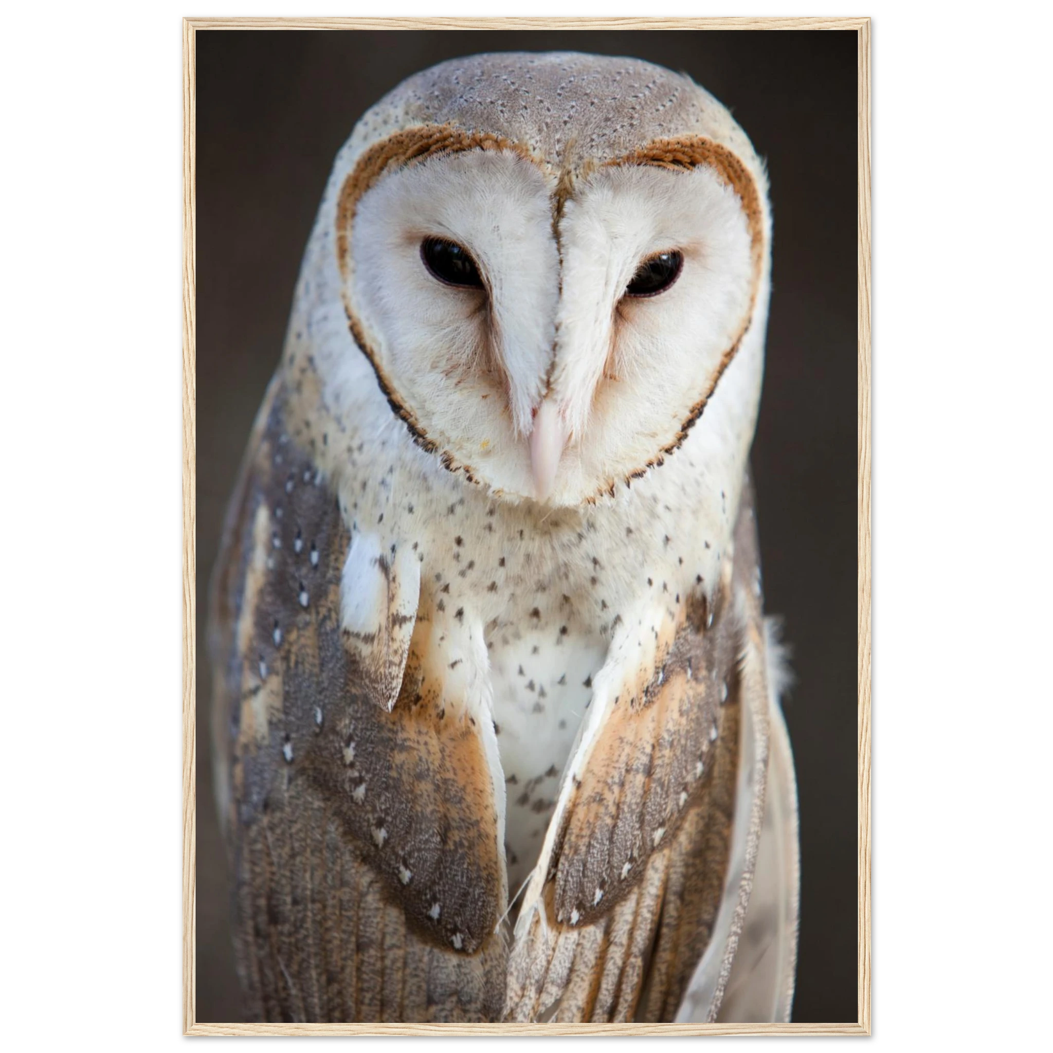 e5de6b73-554f-4ead-9a53-7db469dcc634