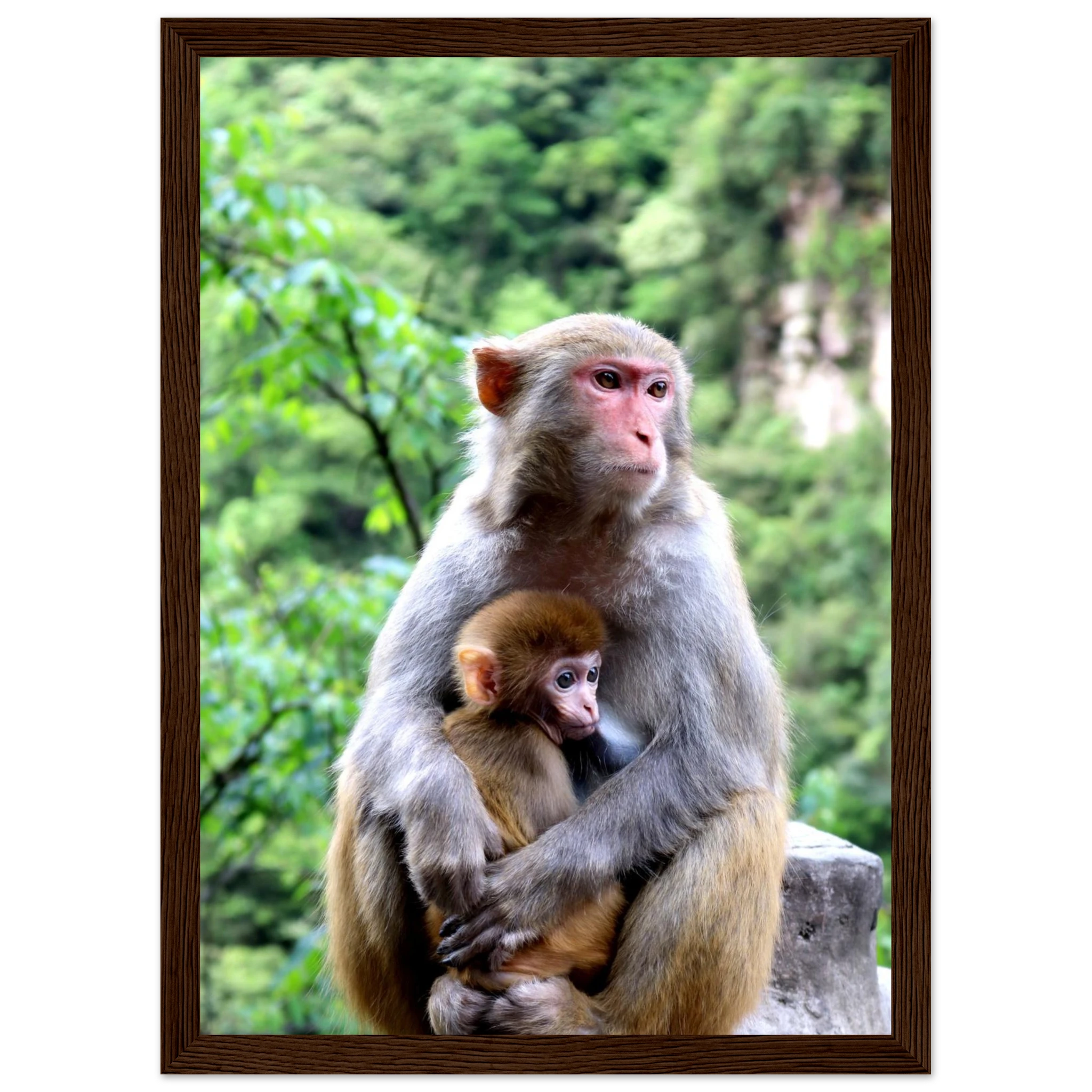 e5e7cdcf-d57c-4b1a-aa3e-8378547f4e8d