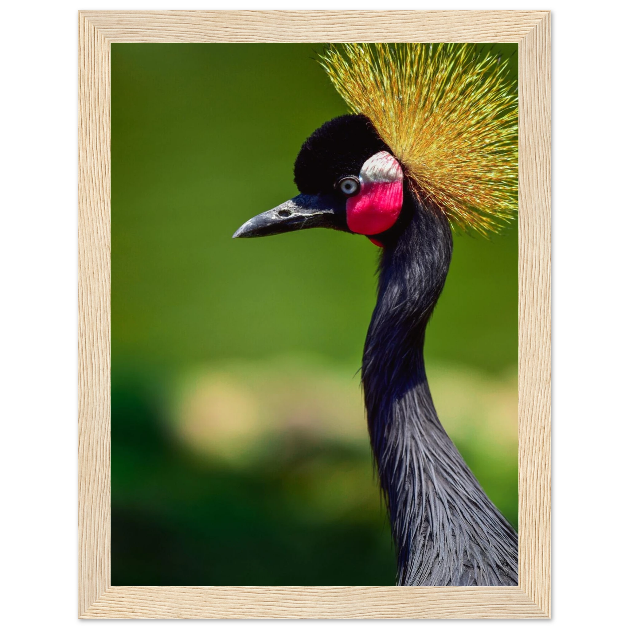 e5f739bc-cb9e-4d4f-a95f-1f716c93298a