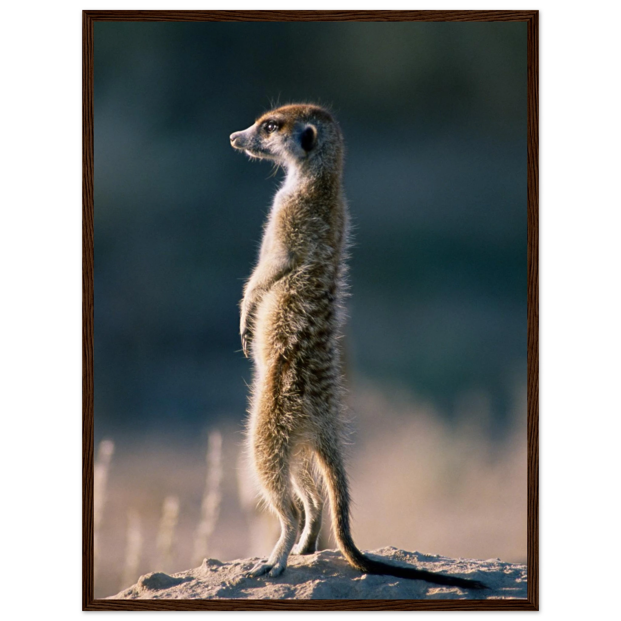 e62fcbe0-8b9d-4dc5-bad0-2123cb97ec80