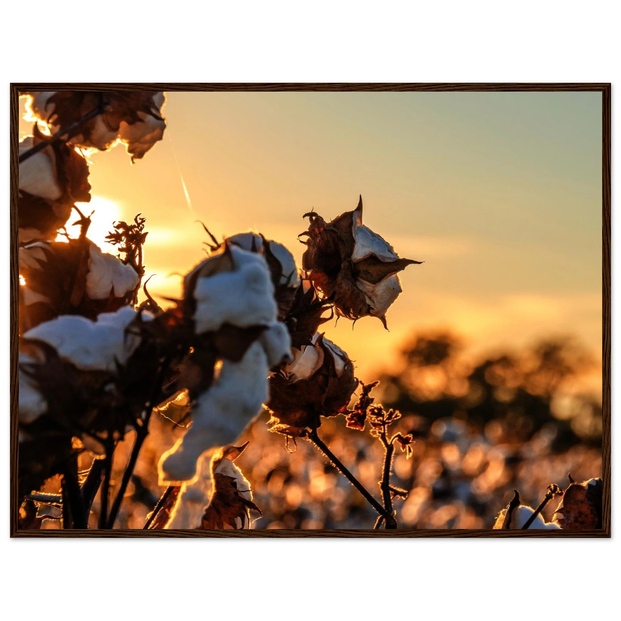 e635774f-c580-402a-b87b-9a1fcd2f1bcb