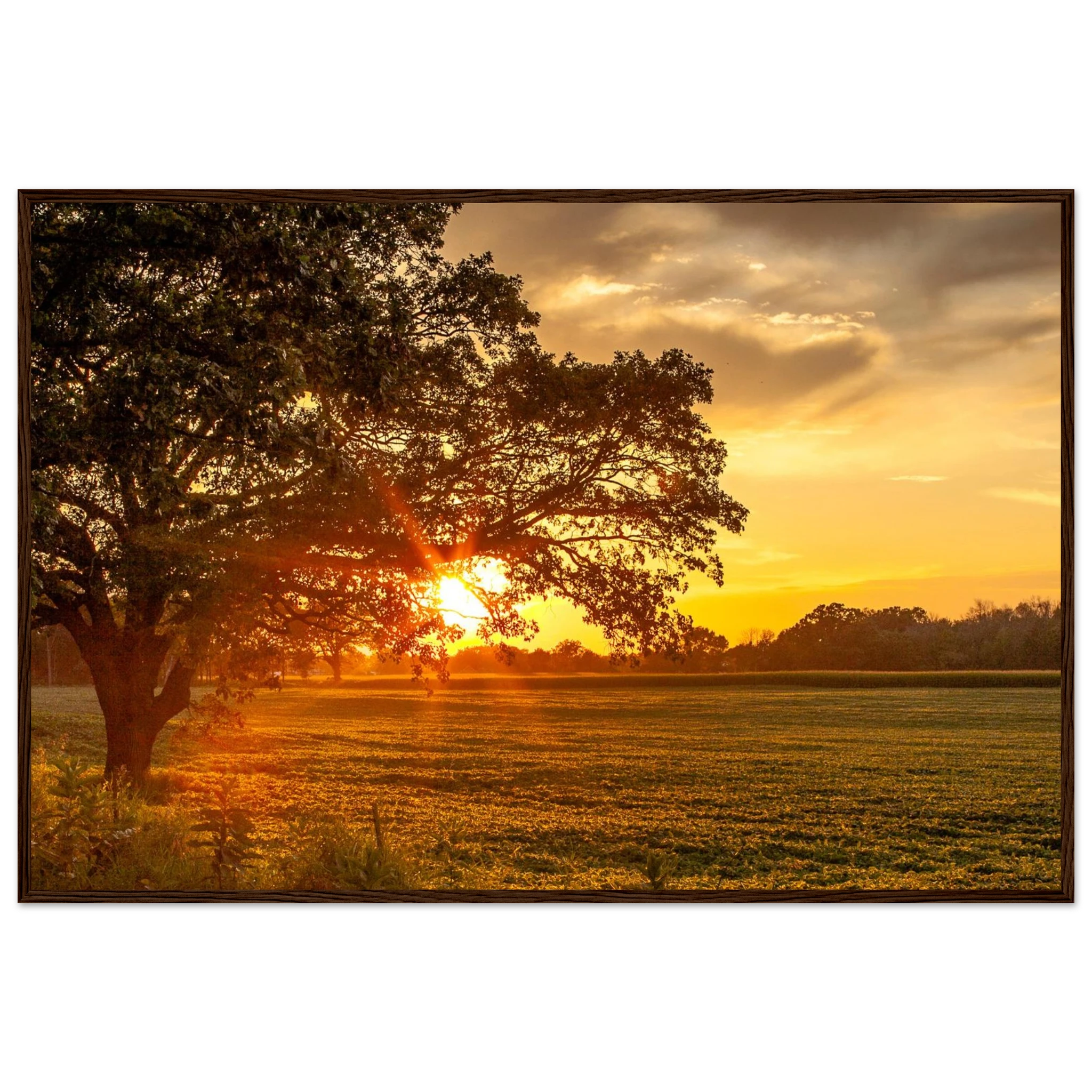 e64801a8-4531-416e-926c-27c4929936ab