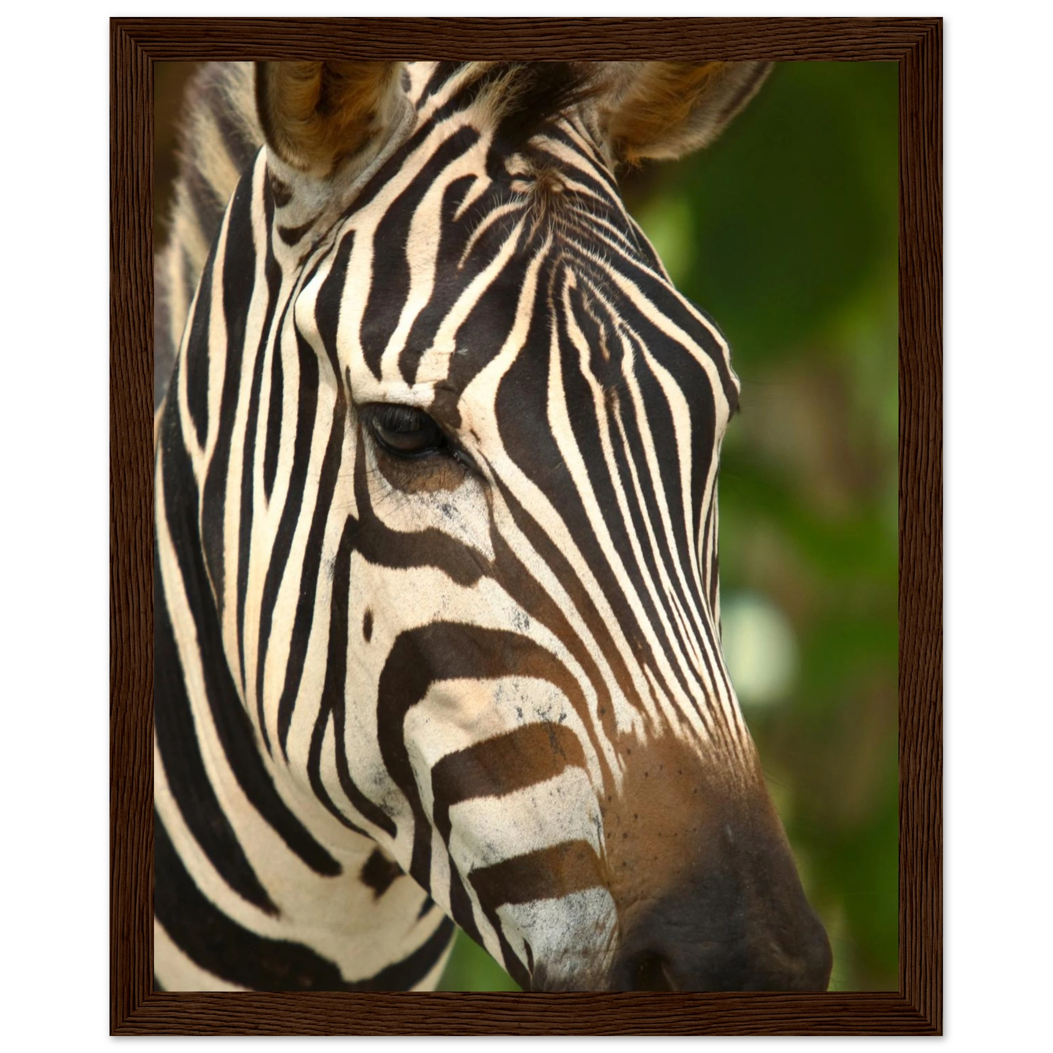 e66438d4-278a-42b9-85cd-85a1b1124f93