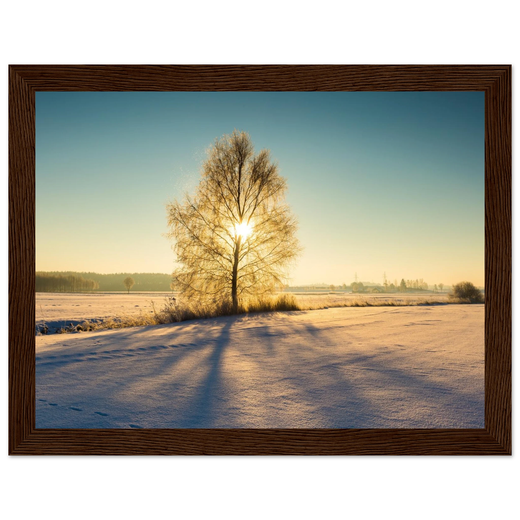 e66ea43b-9925-4ffc-a8c2-62a0a5d198c5