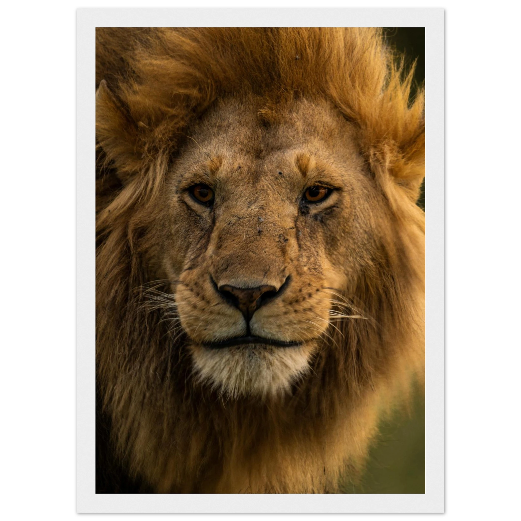 e6756bab-e5a9-443d-9efc-4a951b781d03