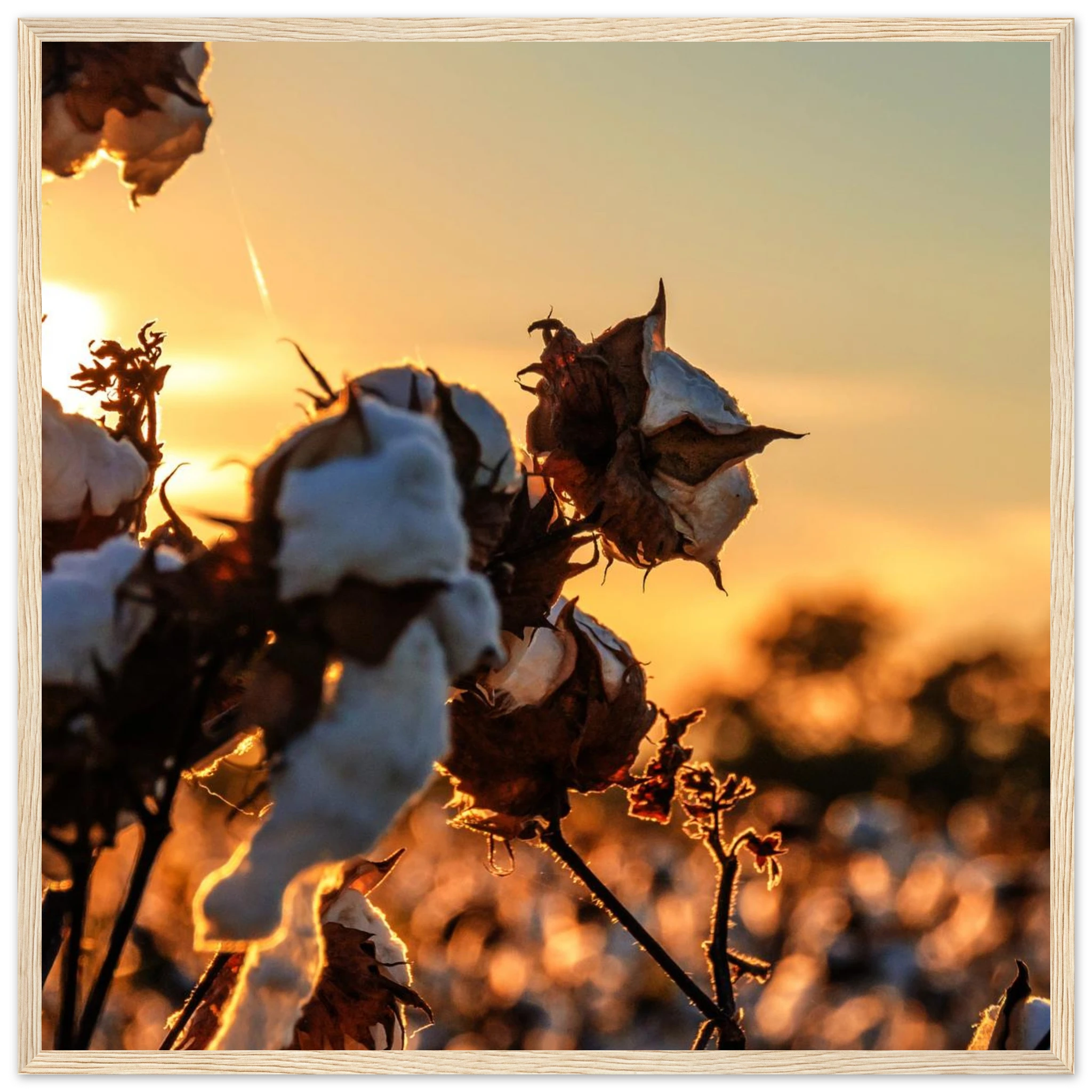 e67d1e79-0bfc-4d8f-a8d4-88546adc3f17