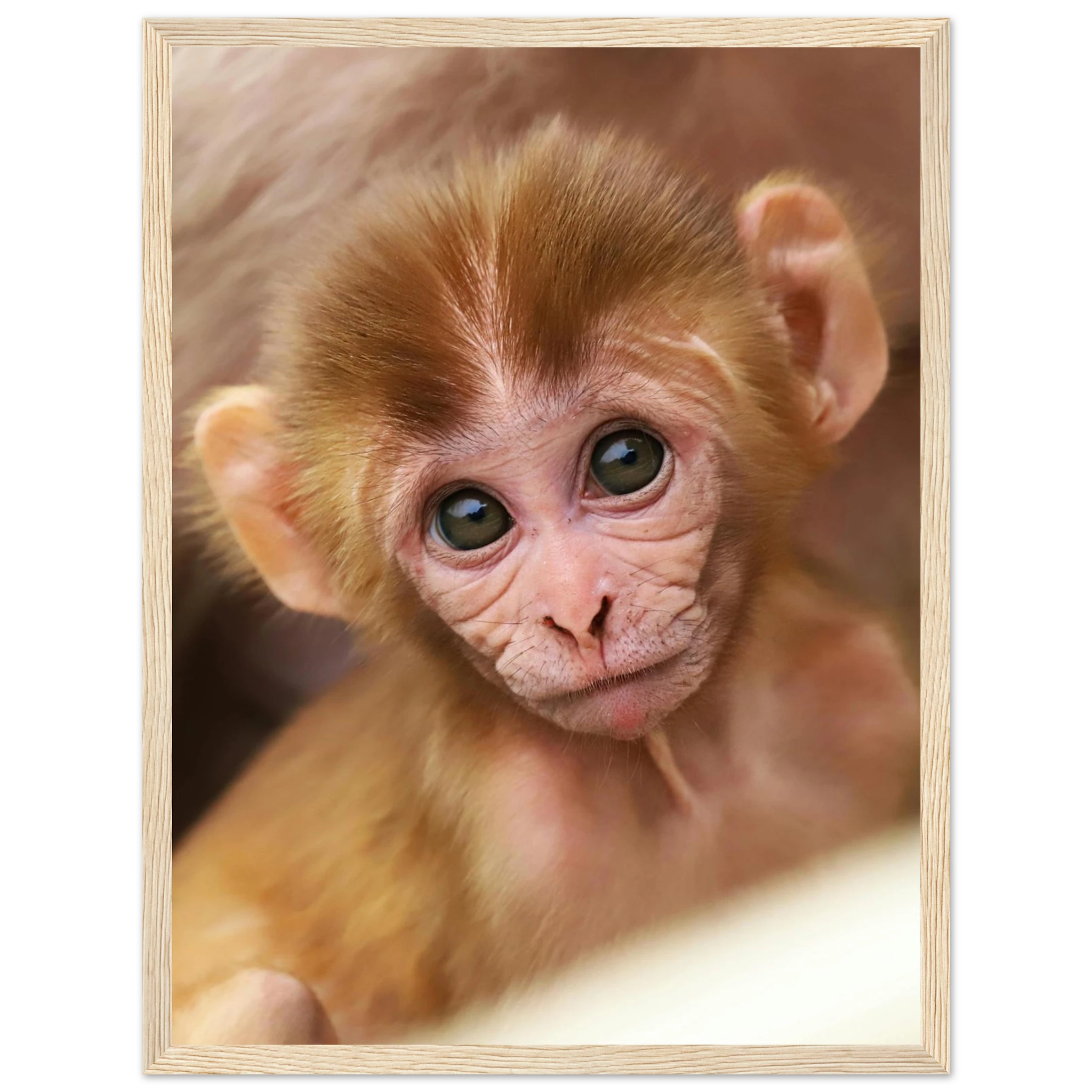 e685070e-2996-4e8a-8037-ea35cc59a0c9