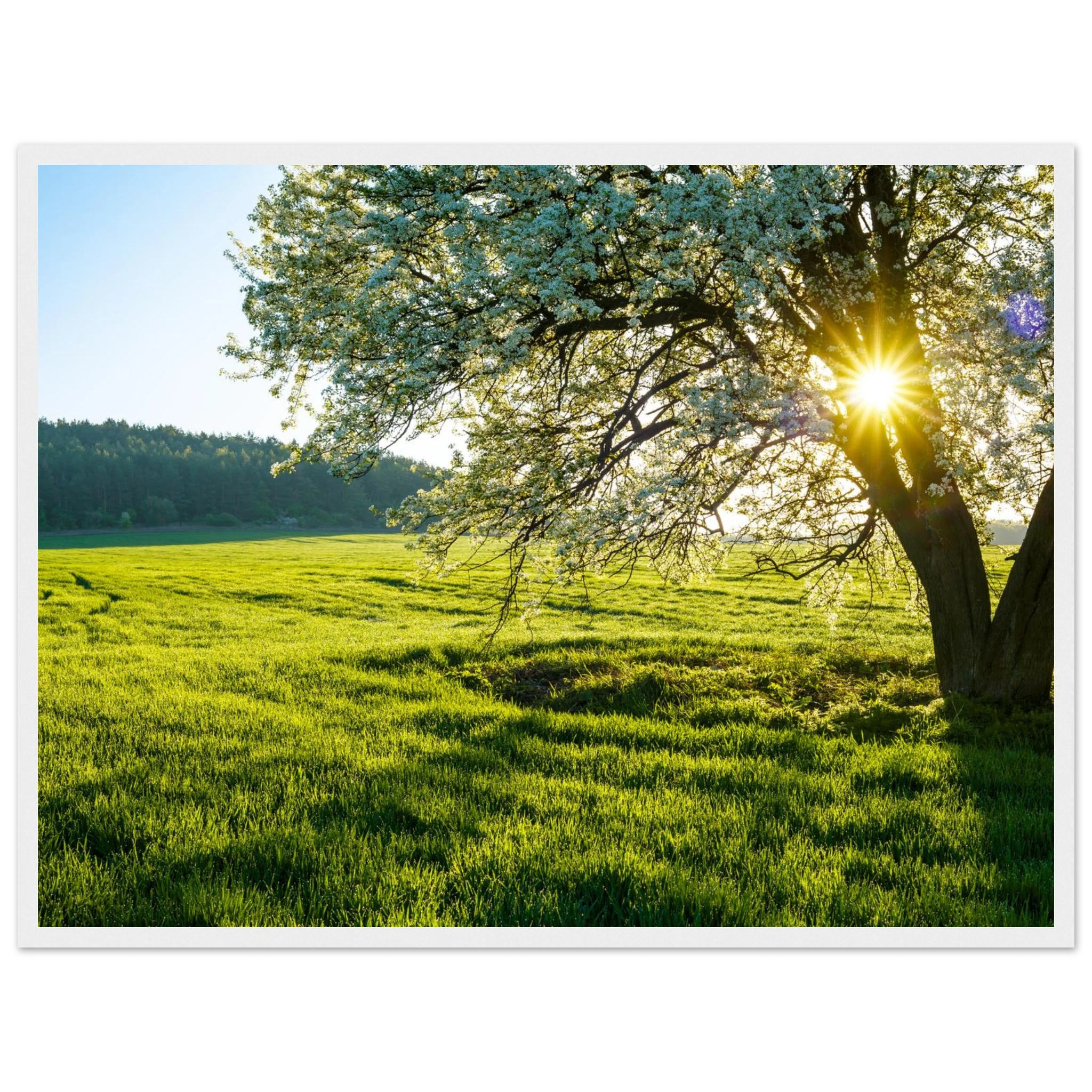 e68f7338-7cf8-41ce-9835-97f459d9c1e1