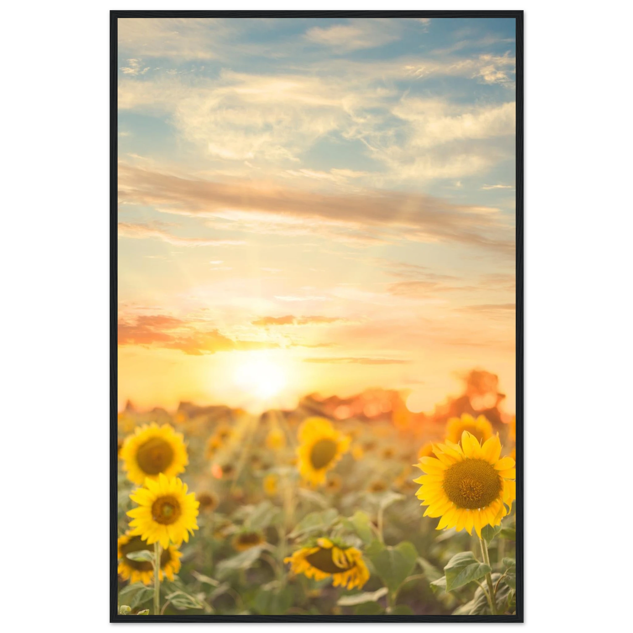 e6980ab5-2725-4608-b5c9-6128dad6e9a9