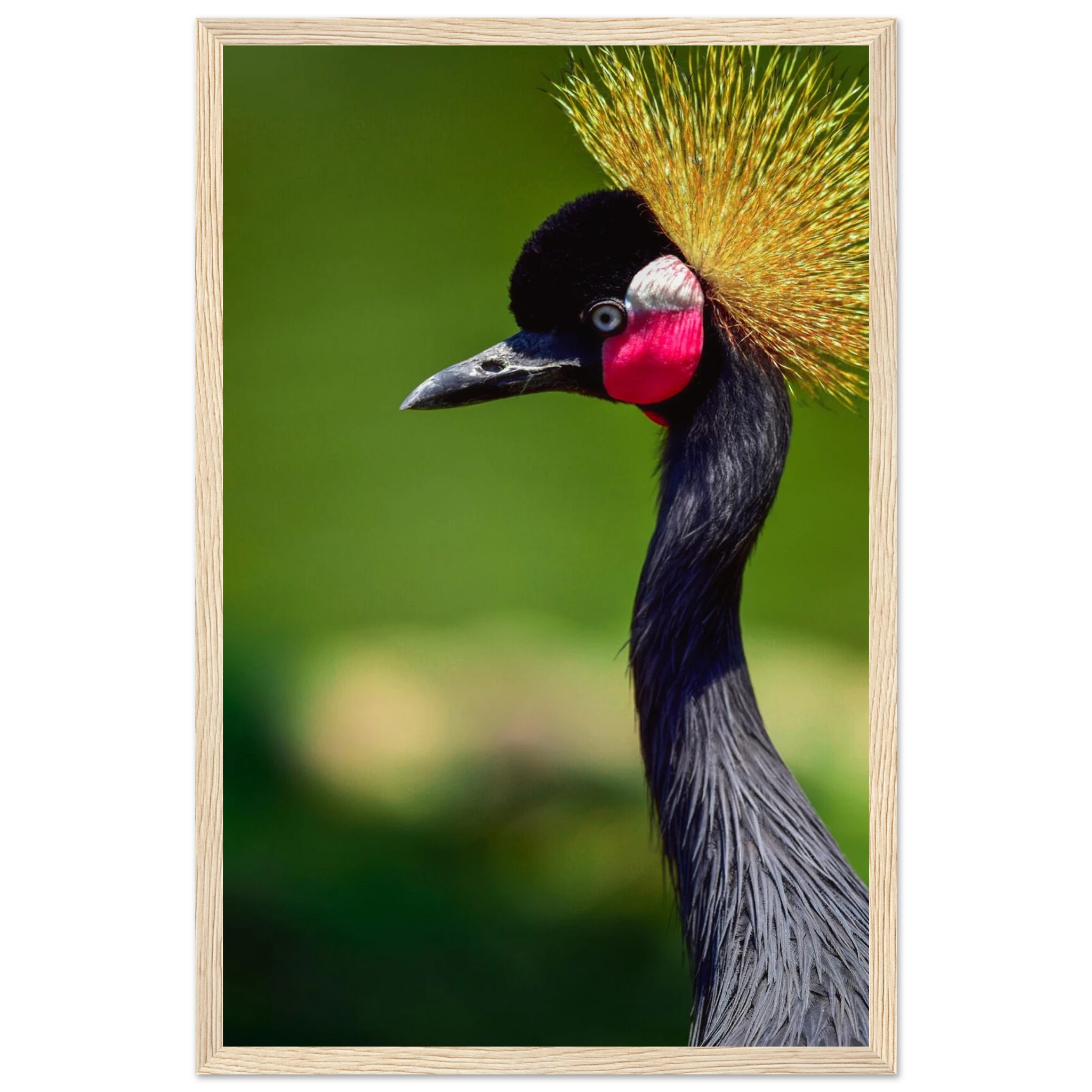 e69fcd14-4e80-4bcf-9ea1-49a2c0f40dd8