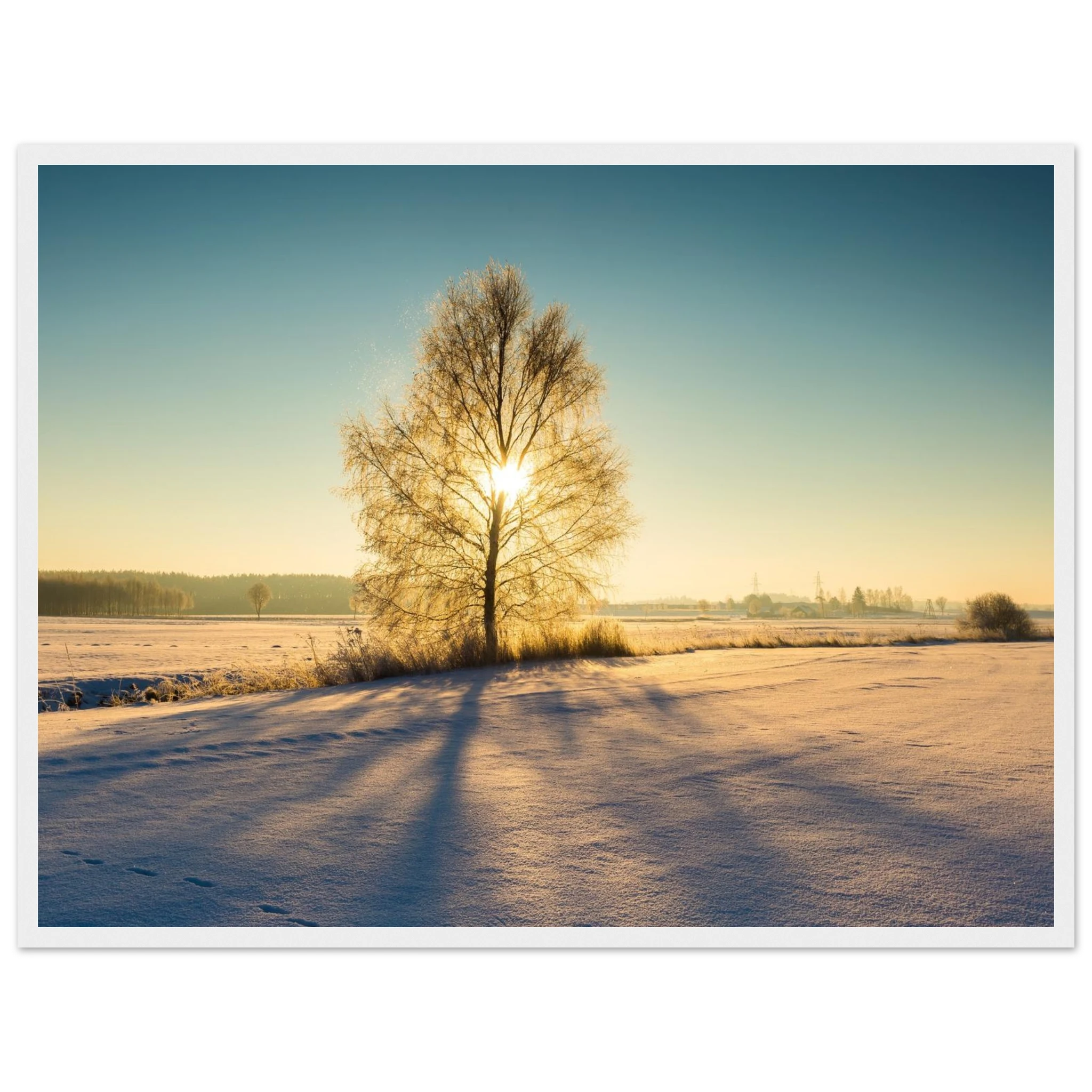 e6c4a248-848a-430b-a2b9-8997f3032013