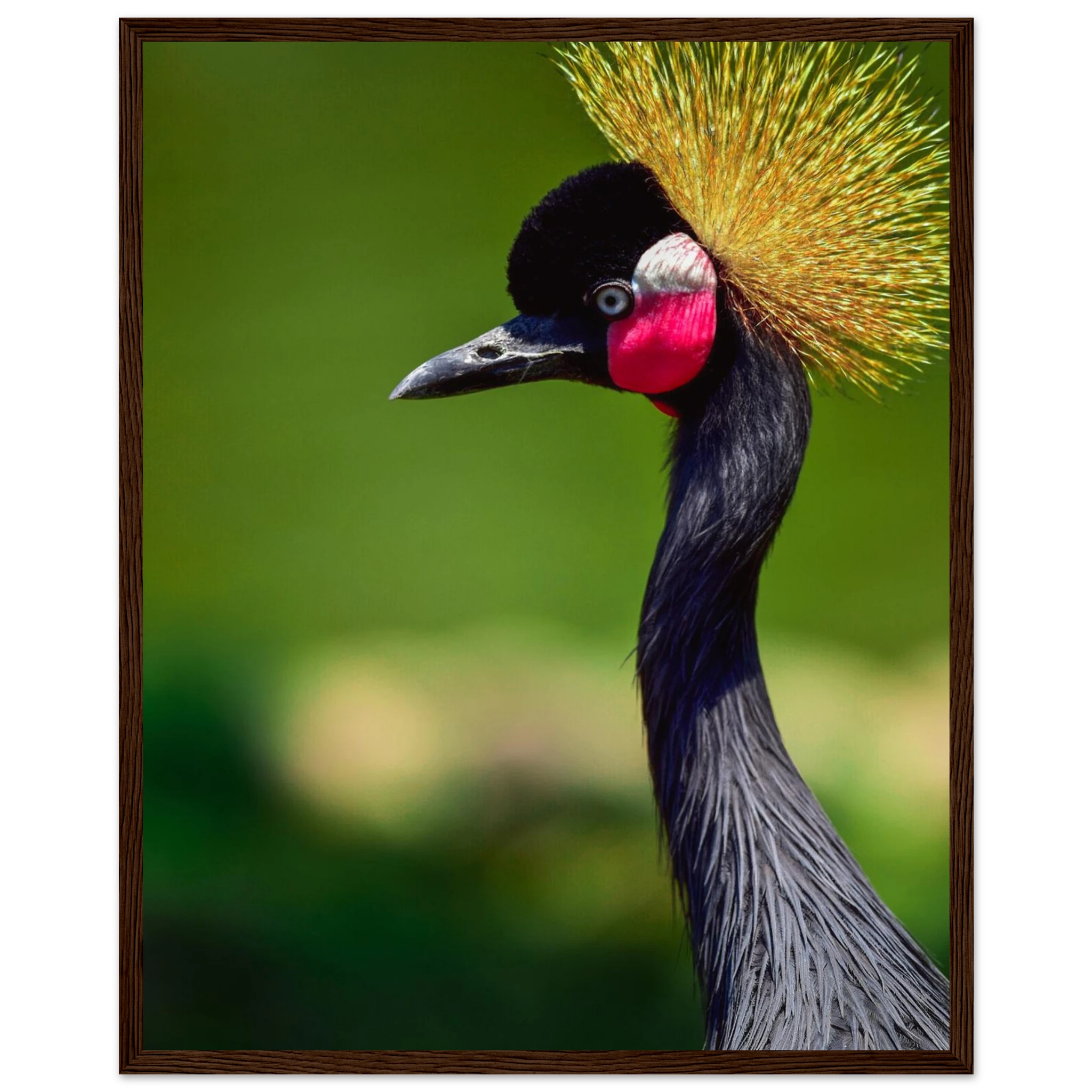 e6f8f999-1400-4fd7-bf2c-721f352a1d77