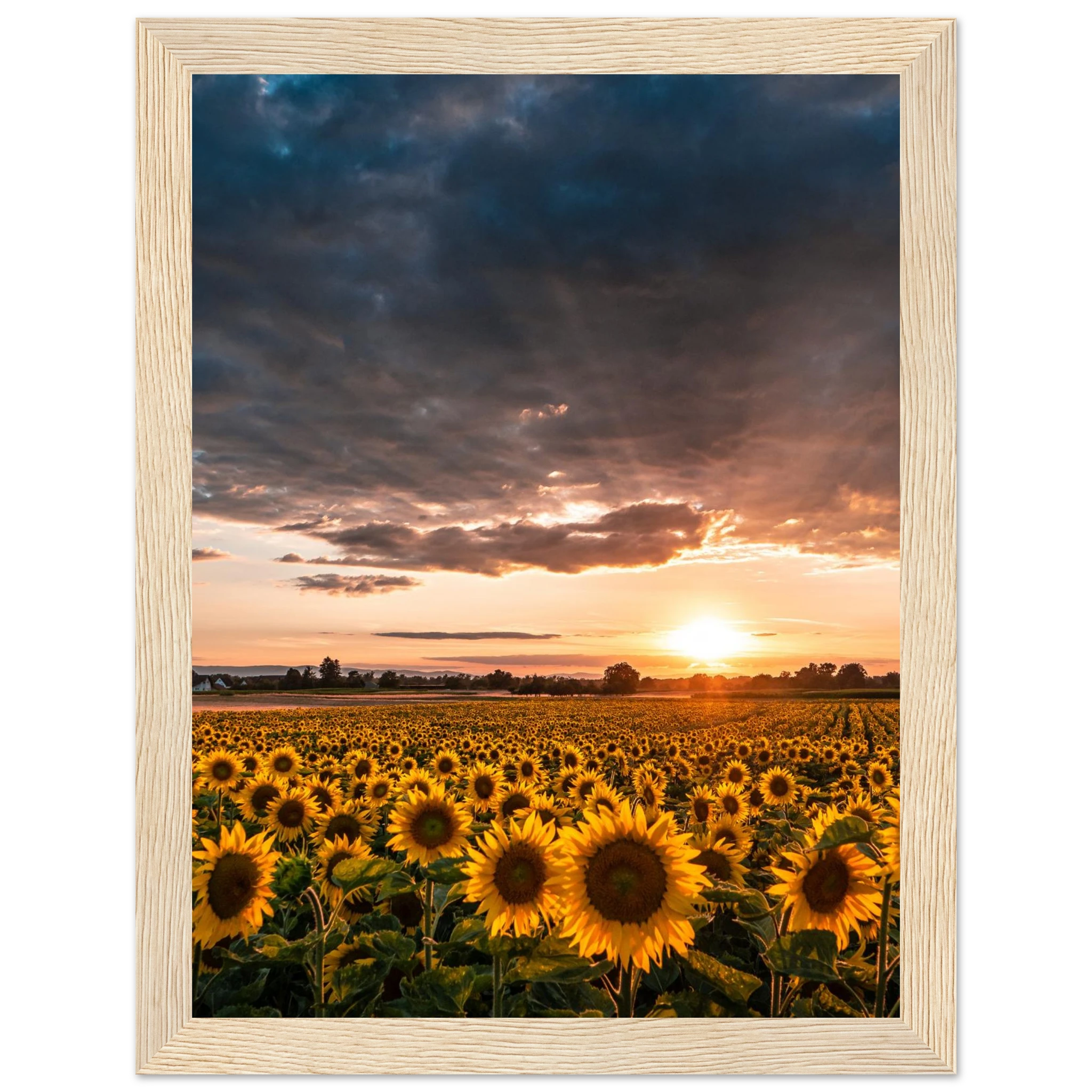 e6f9319c-8fe5-41aa-9349-f35fed443a75