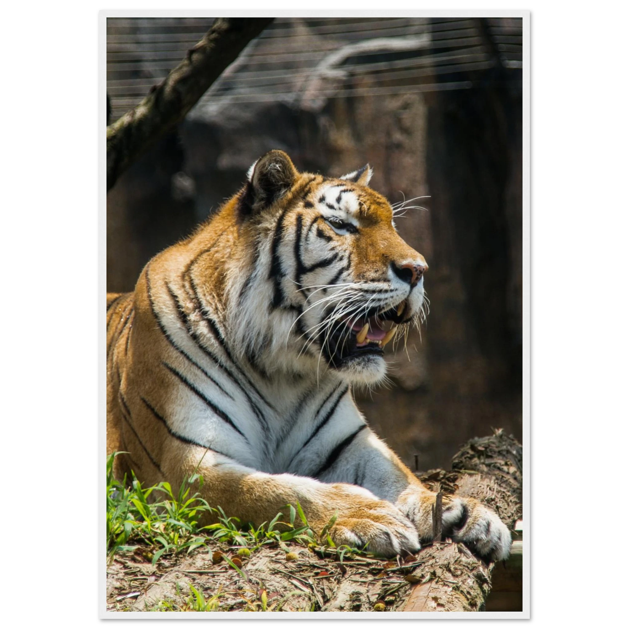 e7052137-862b-41ee-98e9-92a3f35eb41b