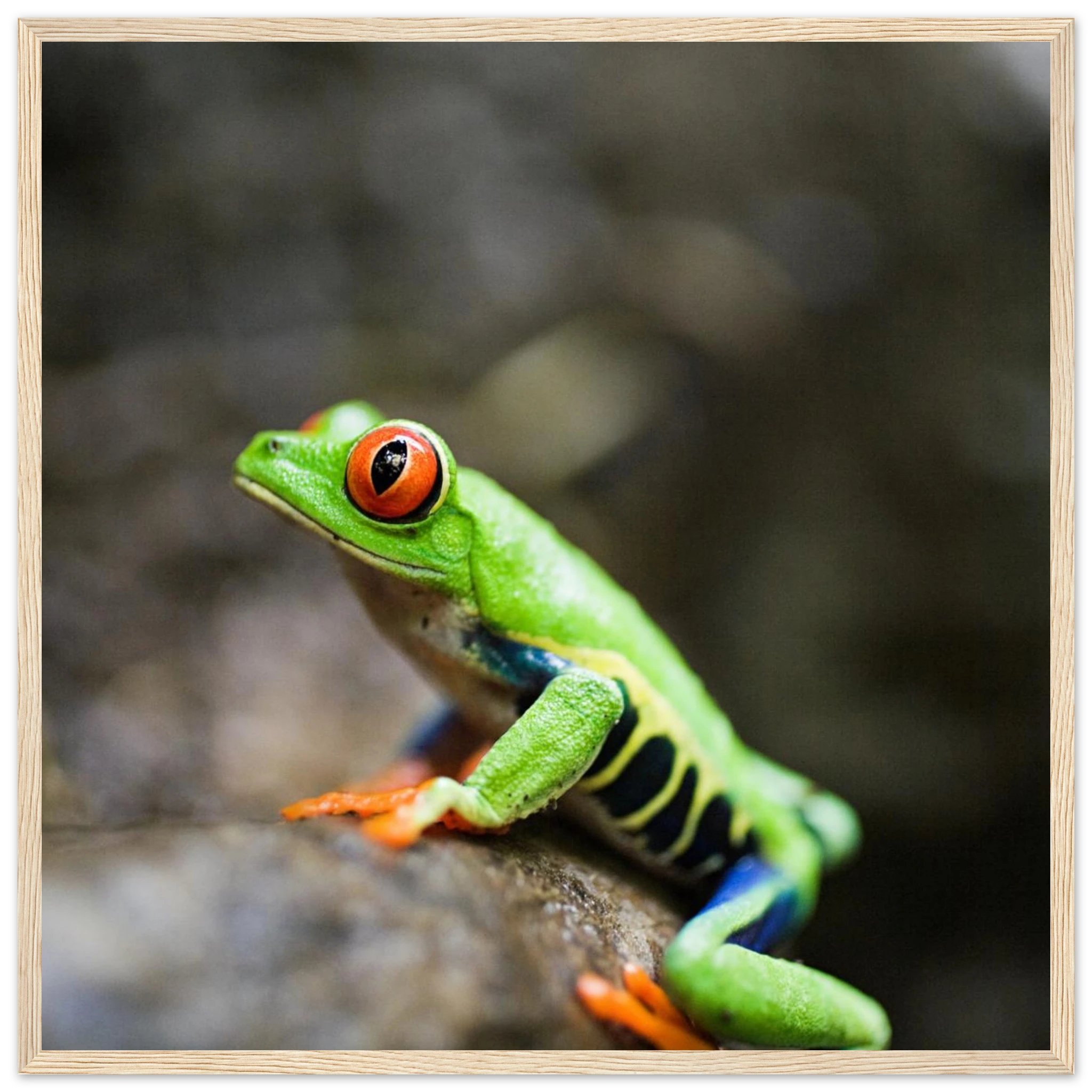 e726de3e-fd92-47cd-a11d-d8101357a6ea