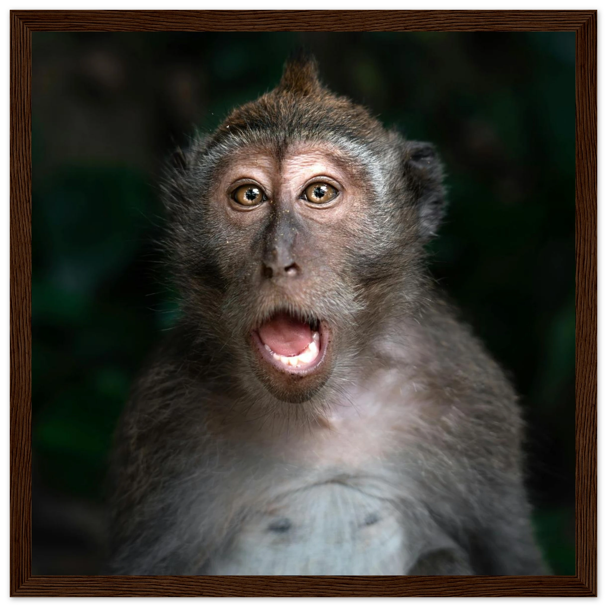 e735934d-9e0d-4cf6-b43b-395de501ae3c