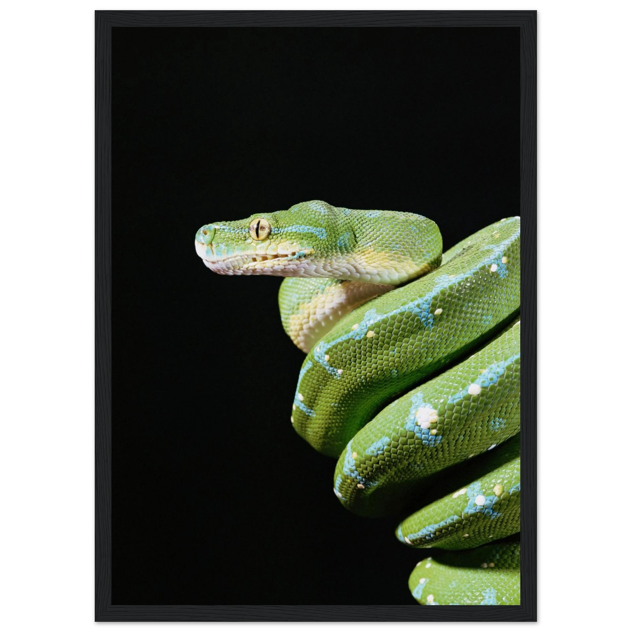 e744bf29-b71e-4d3f-ad47-8df1faa709e1