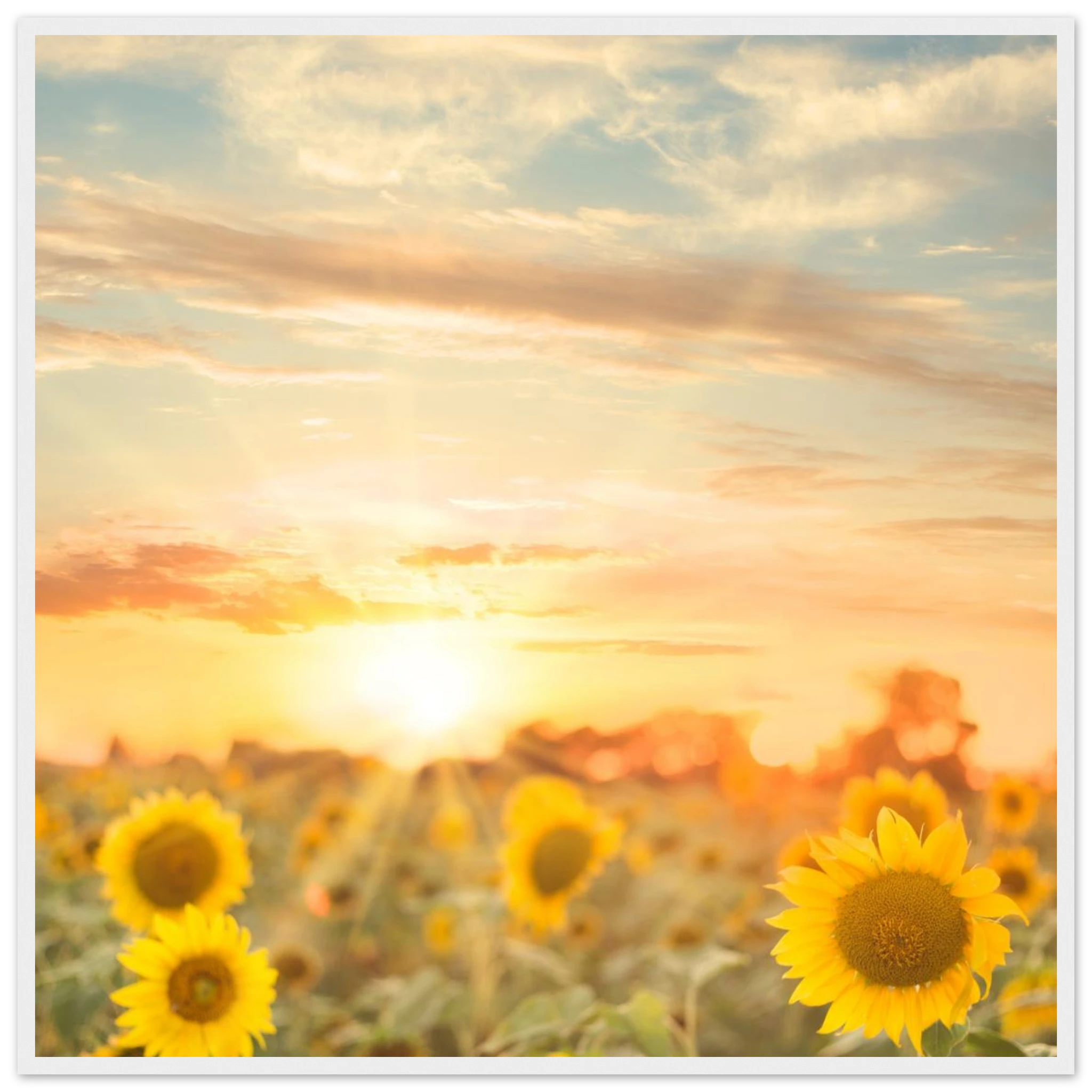 e768bf79-48a6-4ae0-ba04-1124d963b27e